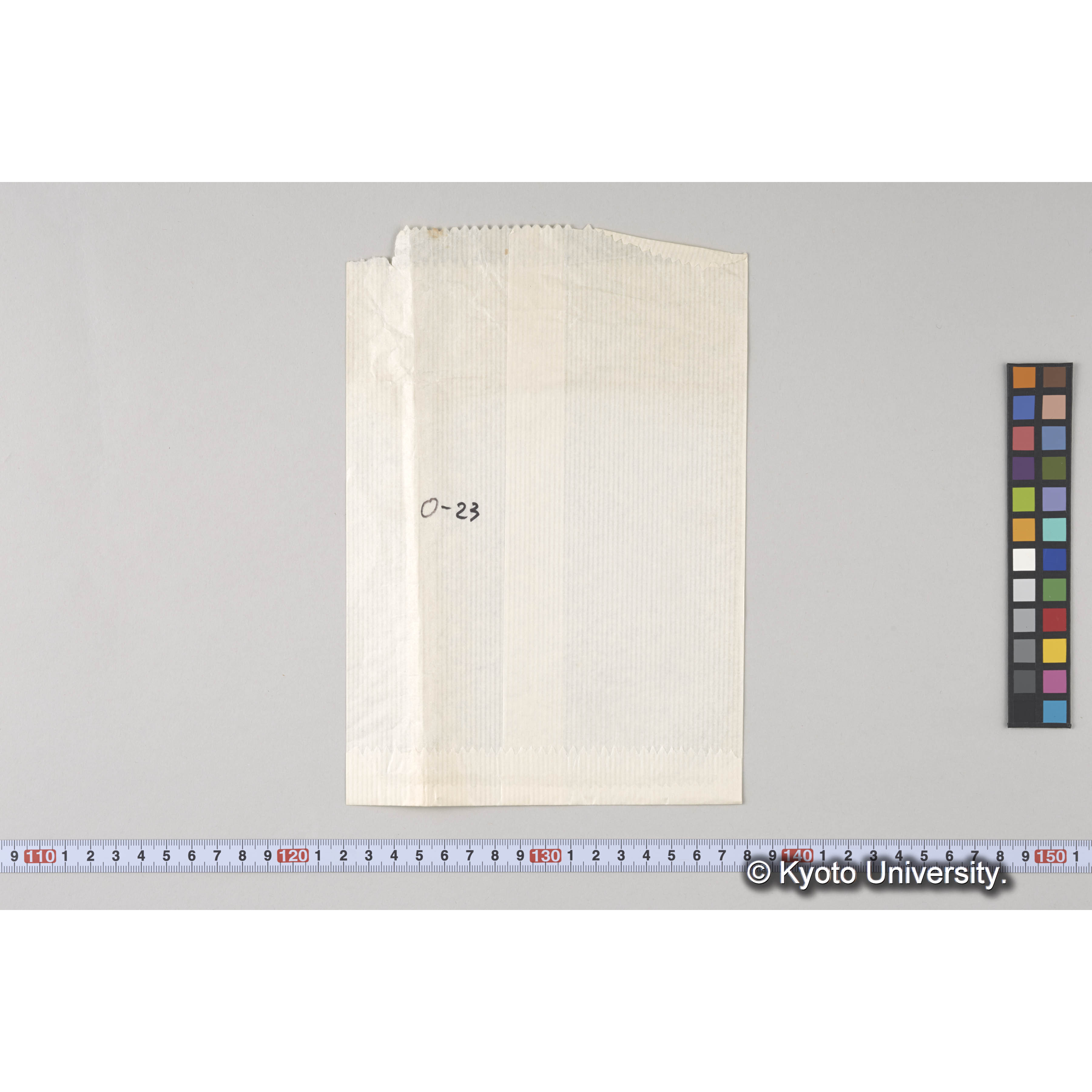 ガラス乾板O (29)