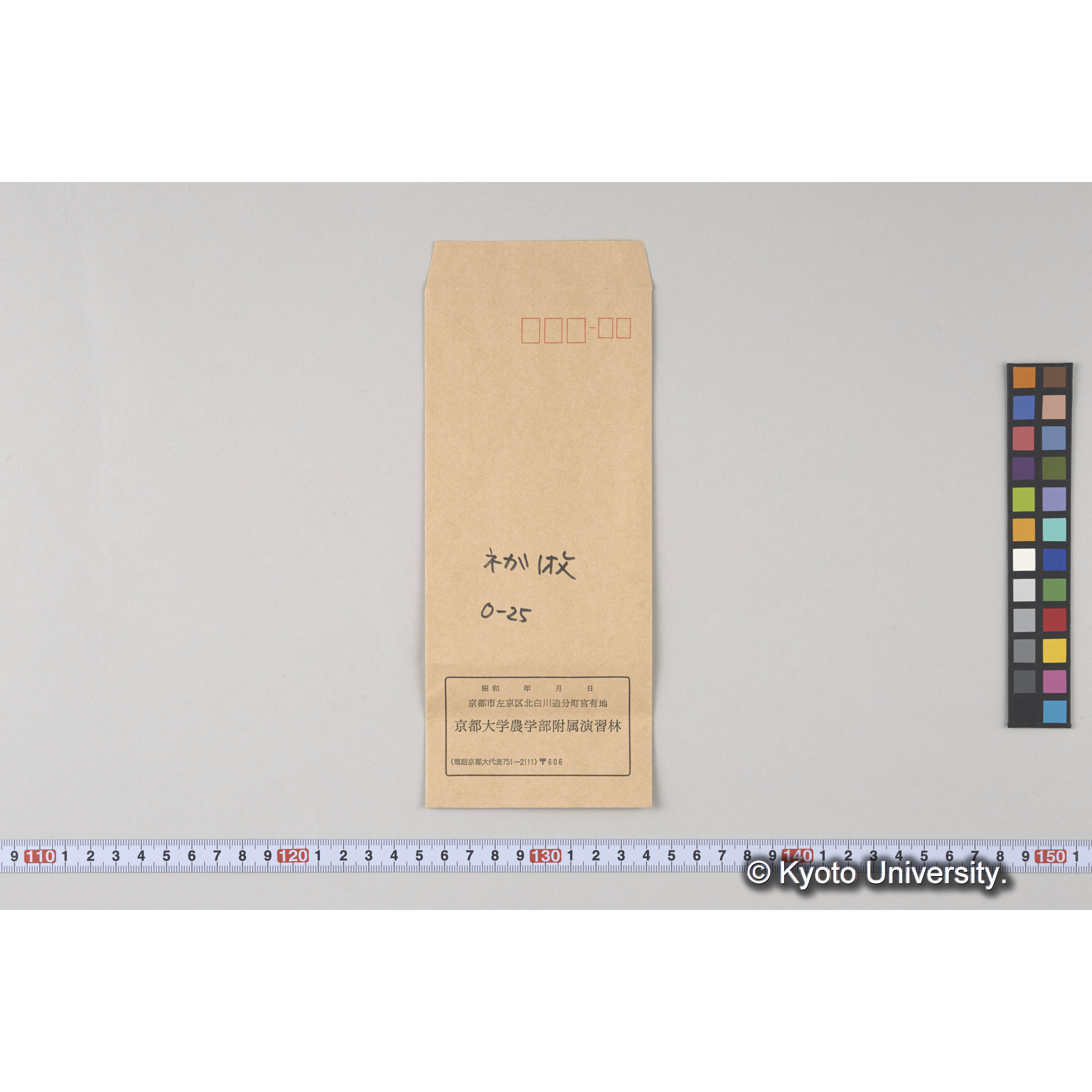 ガラス乾板O (31)