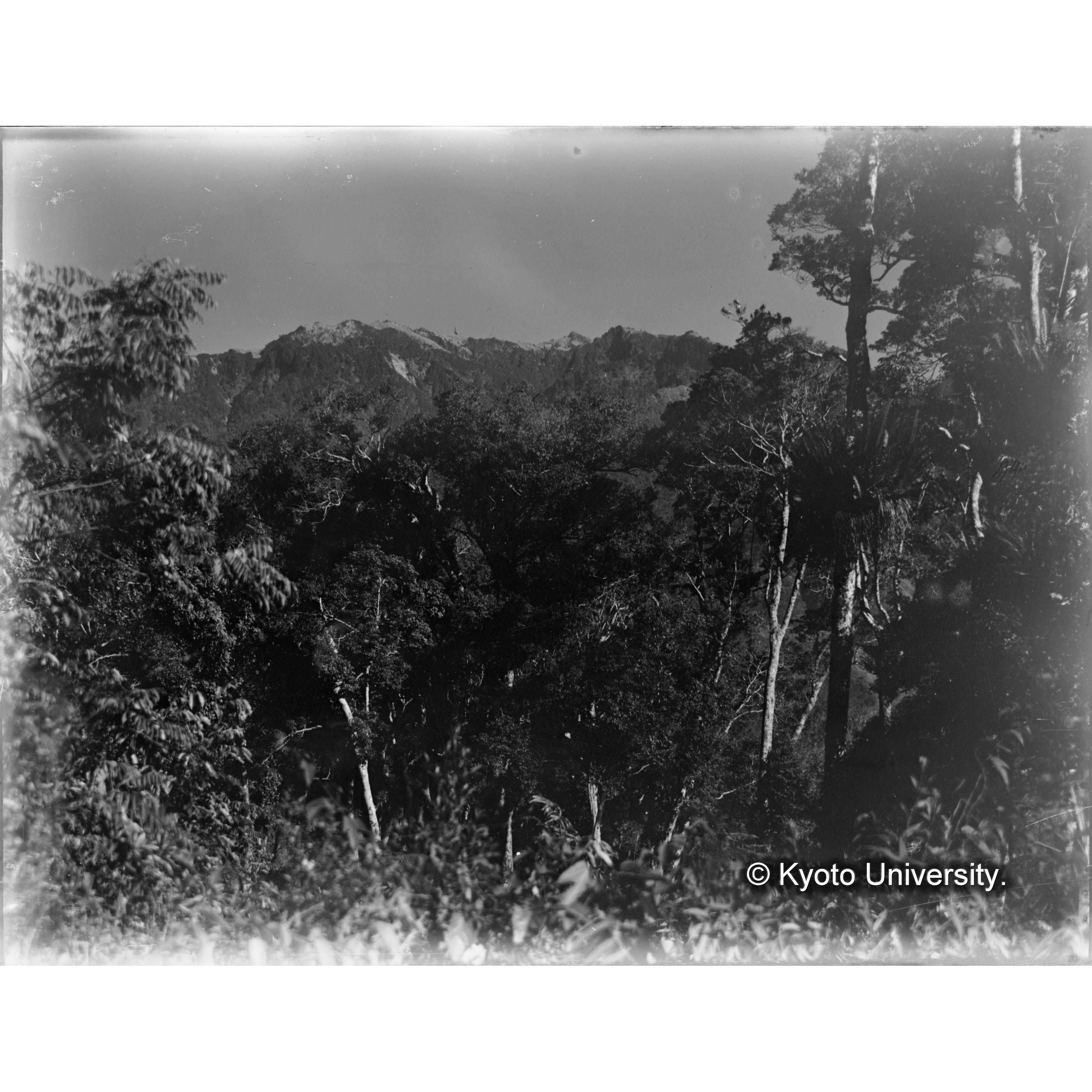 見附駐在所北方にて　卑南主山 (1)