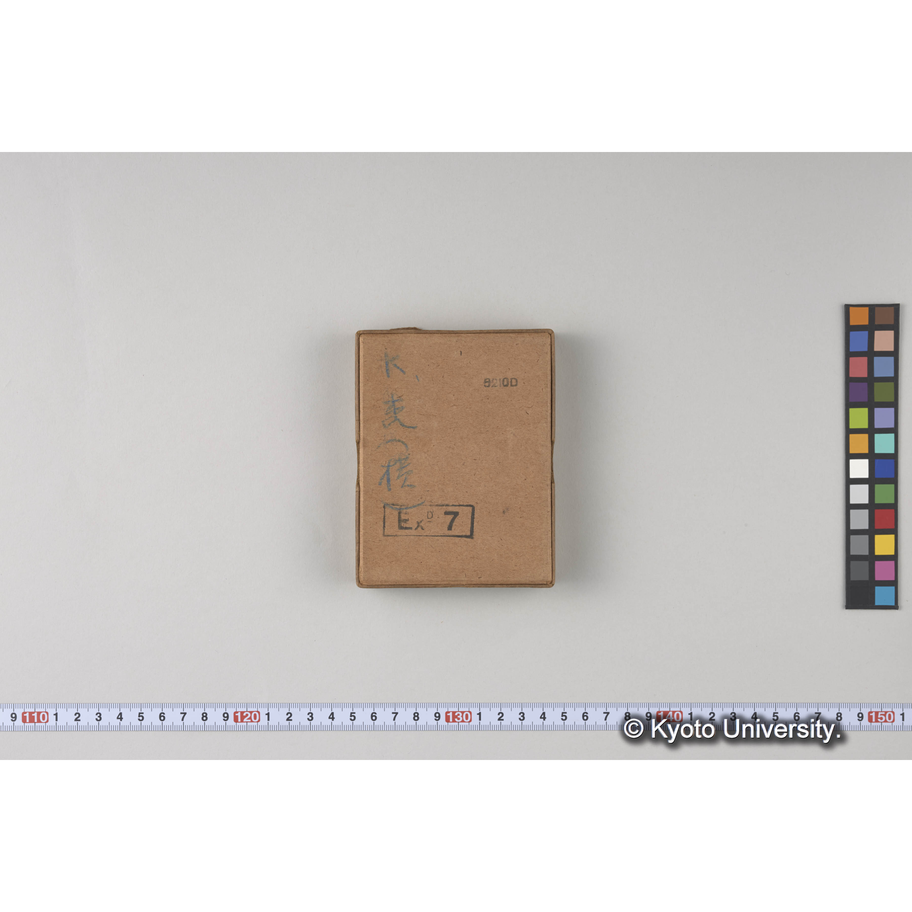 ガラス乾板樺太10 (2)