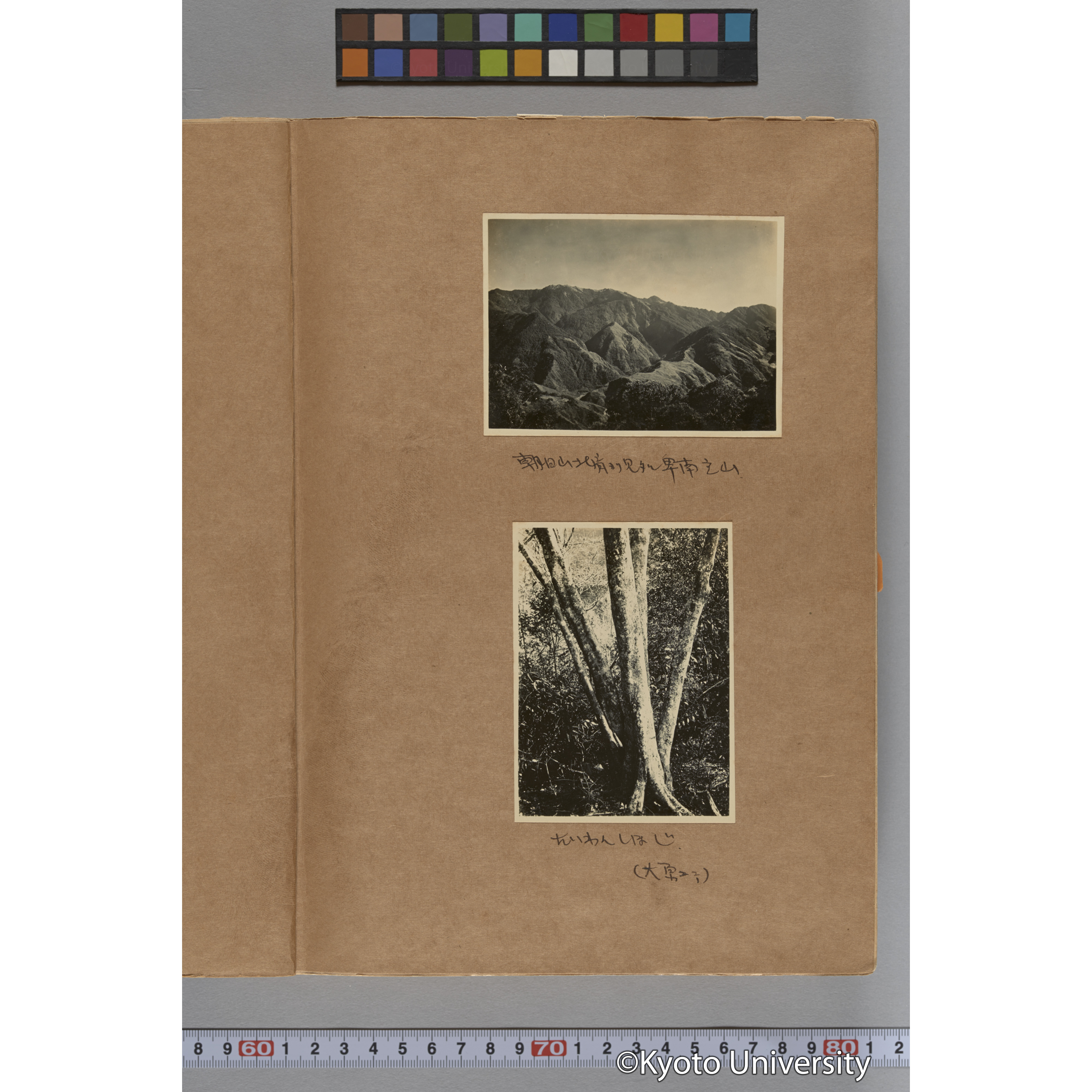 台湾演習林植物調査報告. 第一予報. 1931 植物調査班 (4)