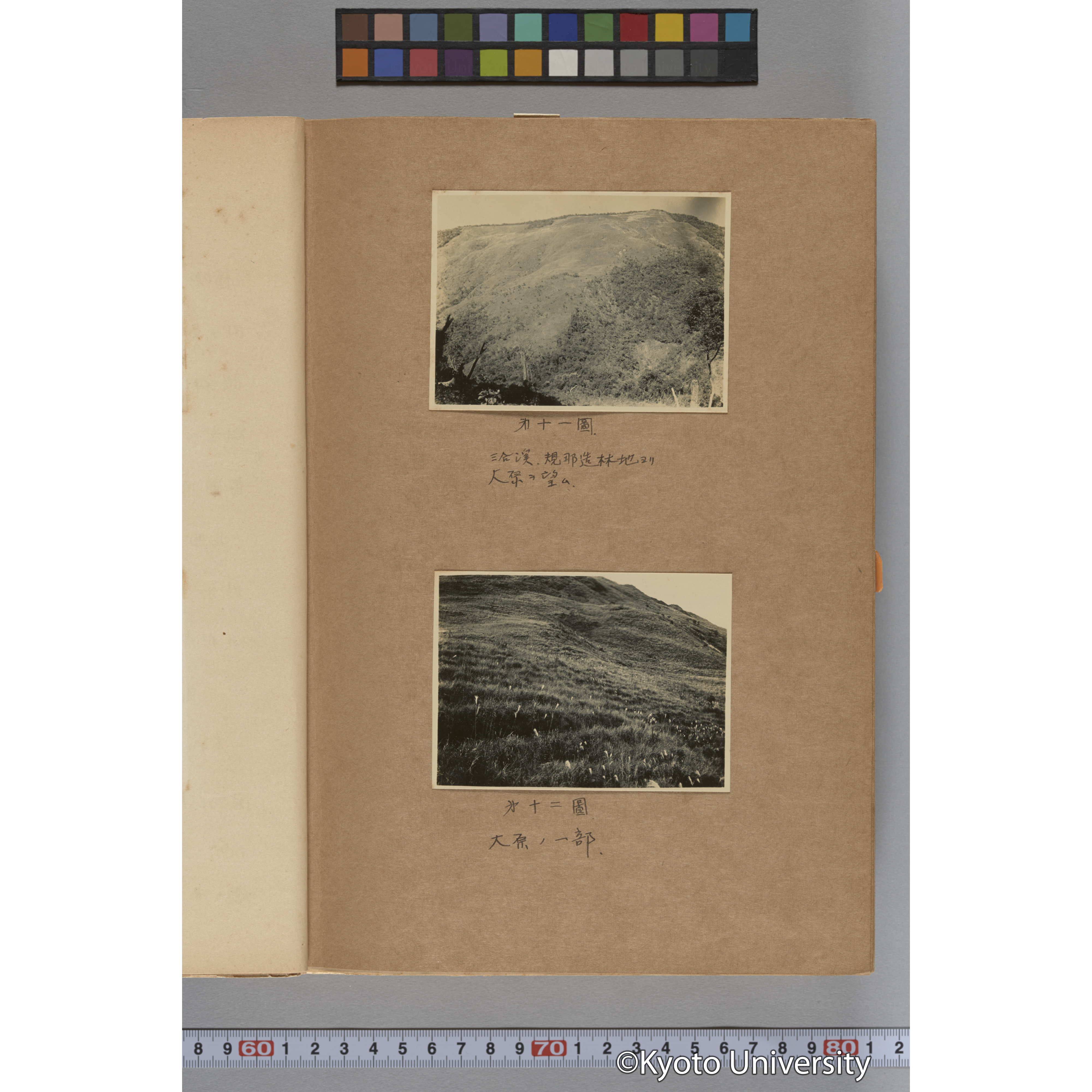 台湾演習林植物調査報告. 第一予報. 1931 植物調査班 (17)