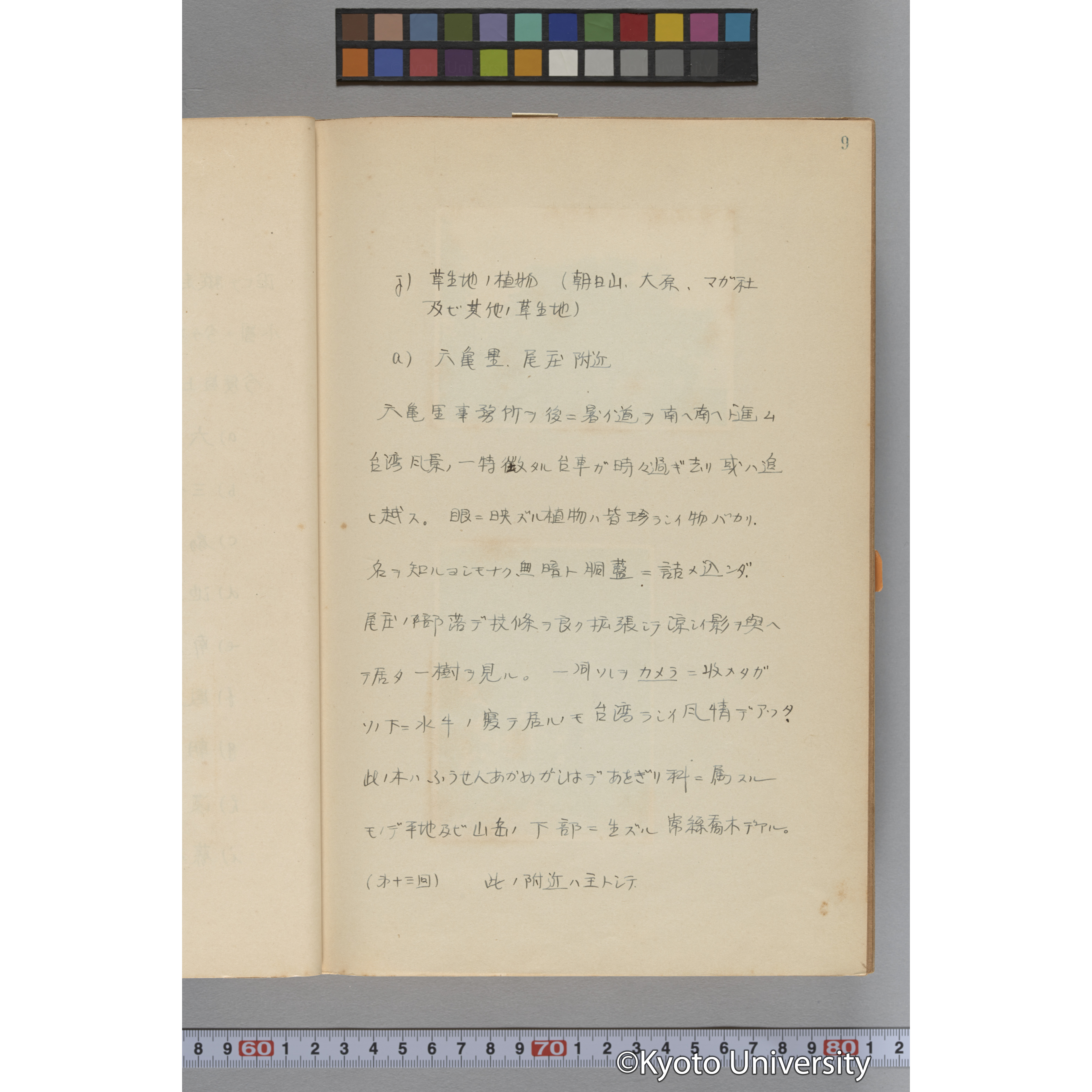 台湾演習林植物調査報告. 第一予報. 1931 植物調査班 (21)