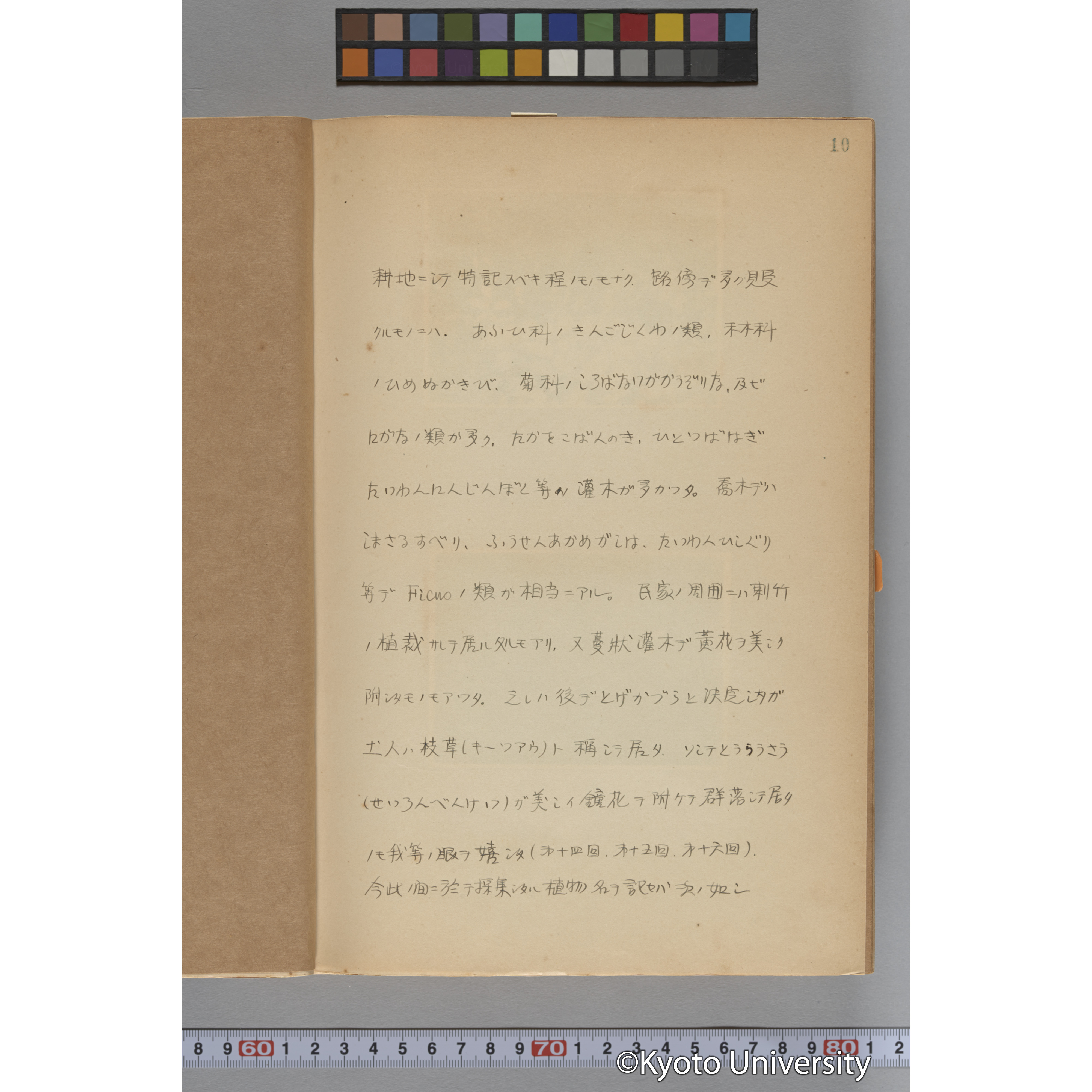 台湾演習林植物調査報告. 第一予報. 1931 植物調査班 (23)