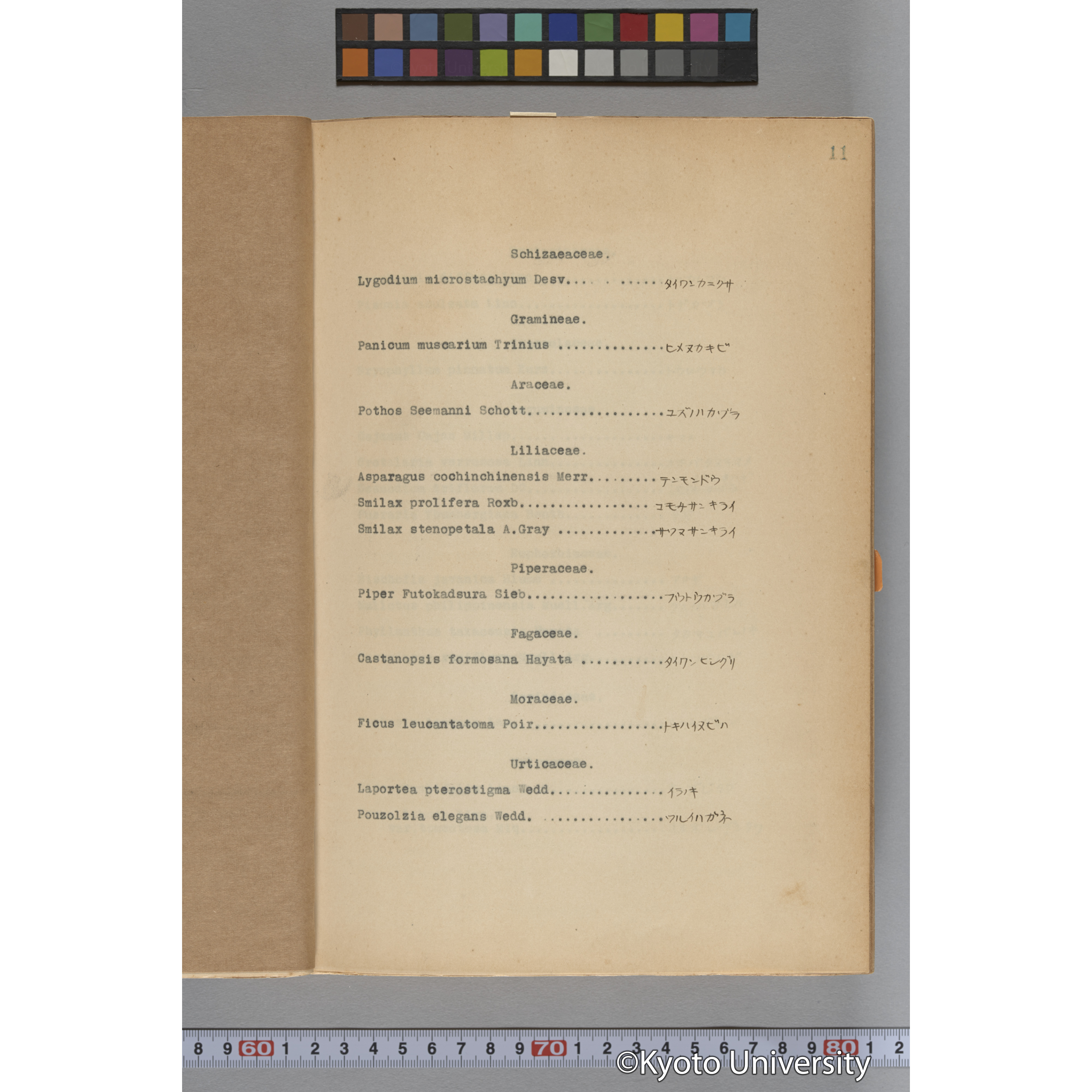 台湾演習林植物調査報告. 第一予報. 1931 植物調査班 (25)