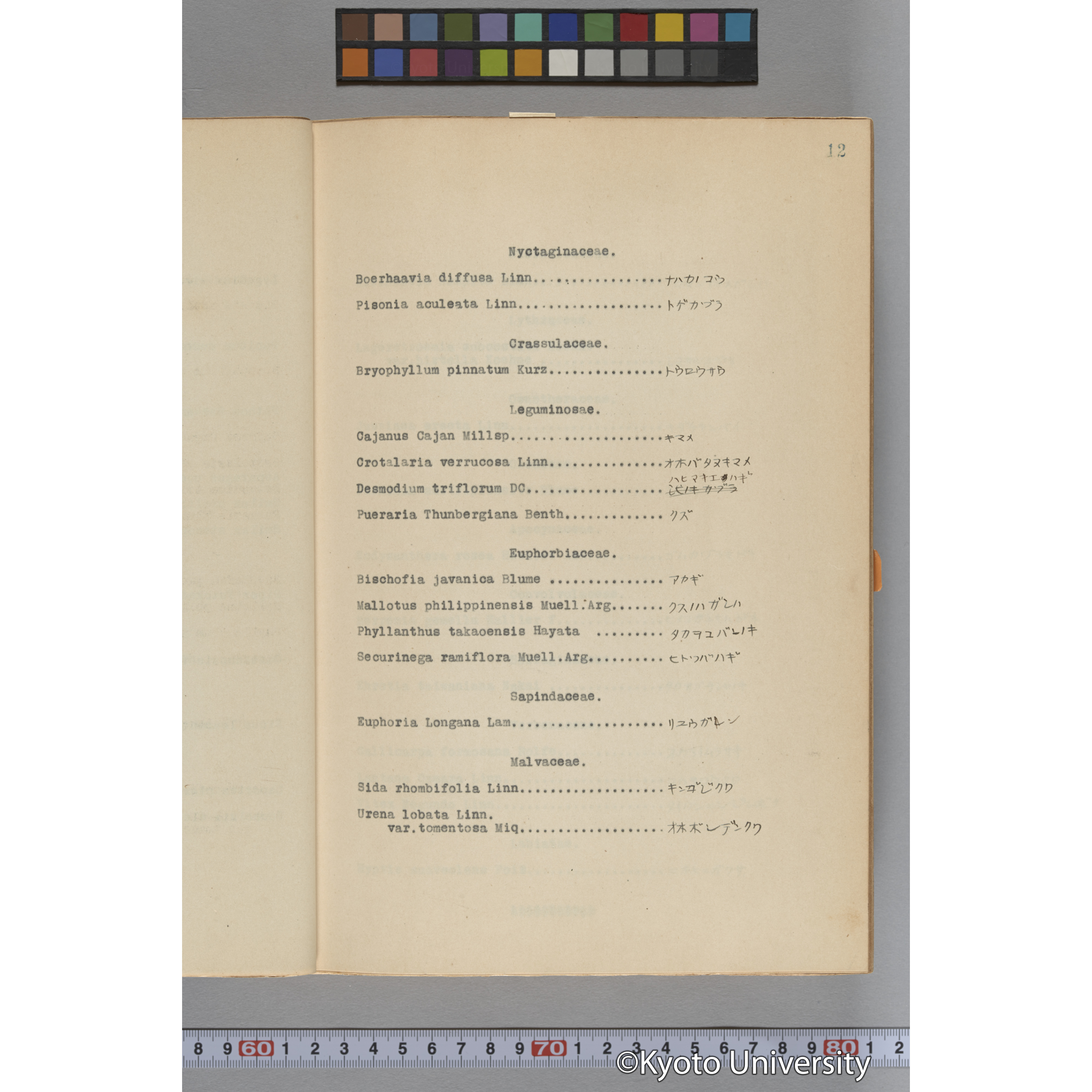 台湾演習林植物調査報告. 第一予報. 1931 植物調査班 (26)