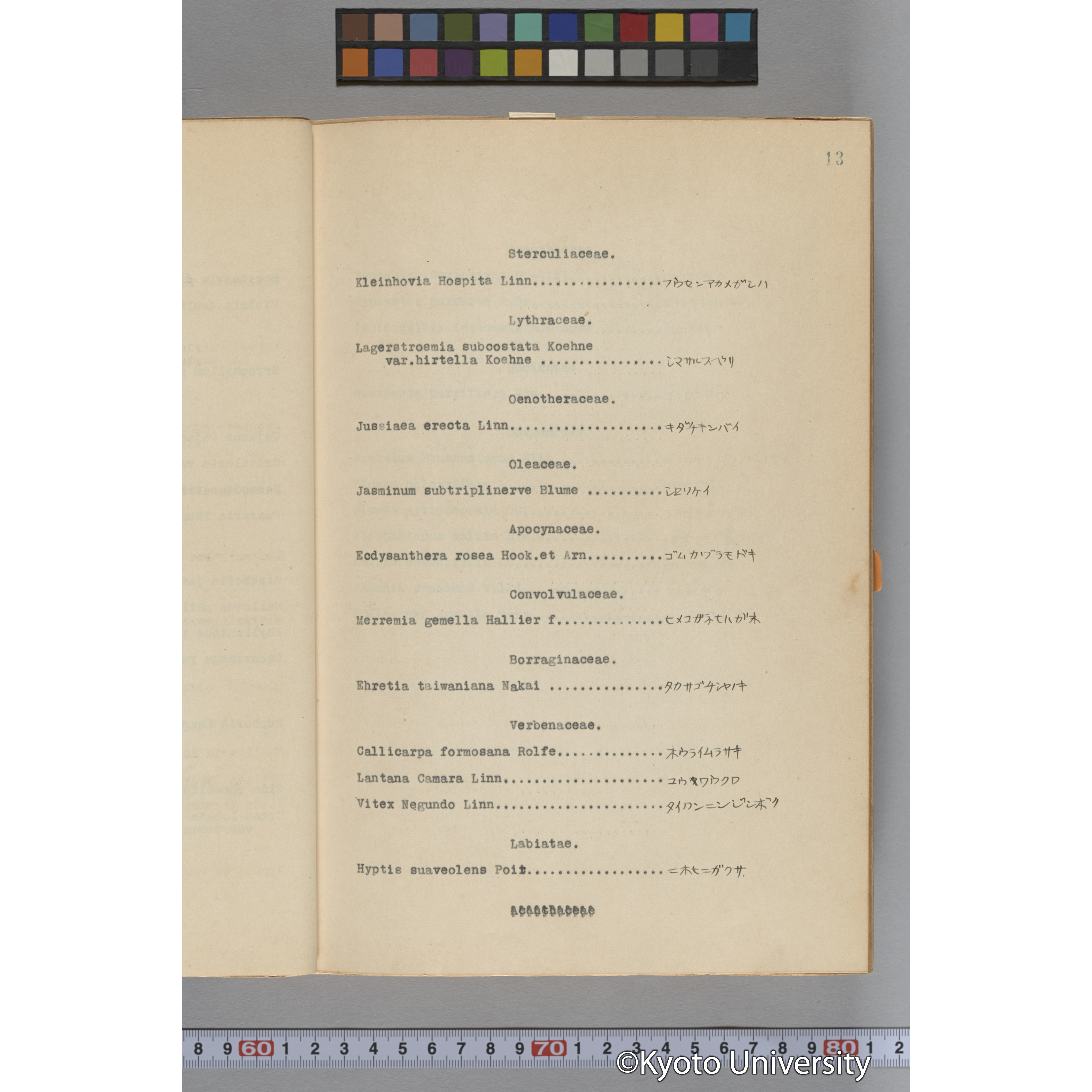 台湾演習林植物調査報告. 第一予報. 1931 植物調査班 (27)