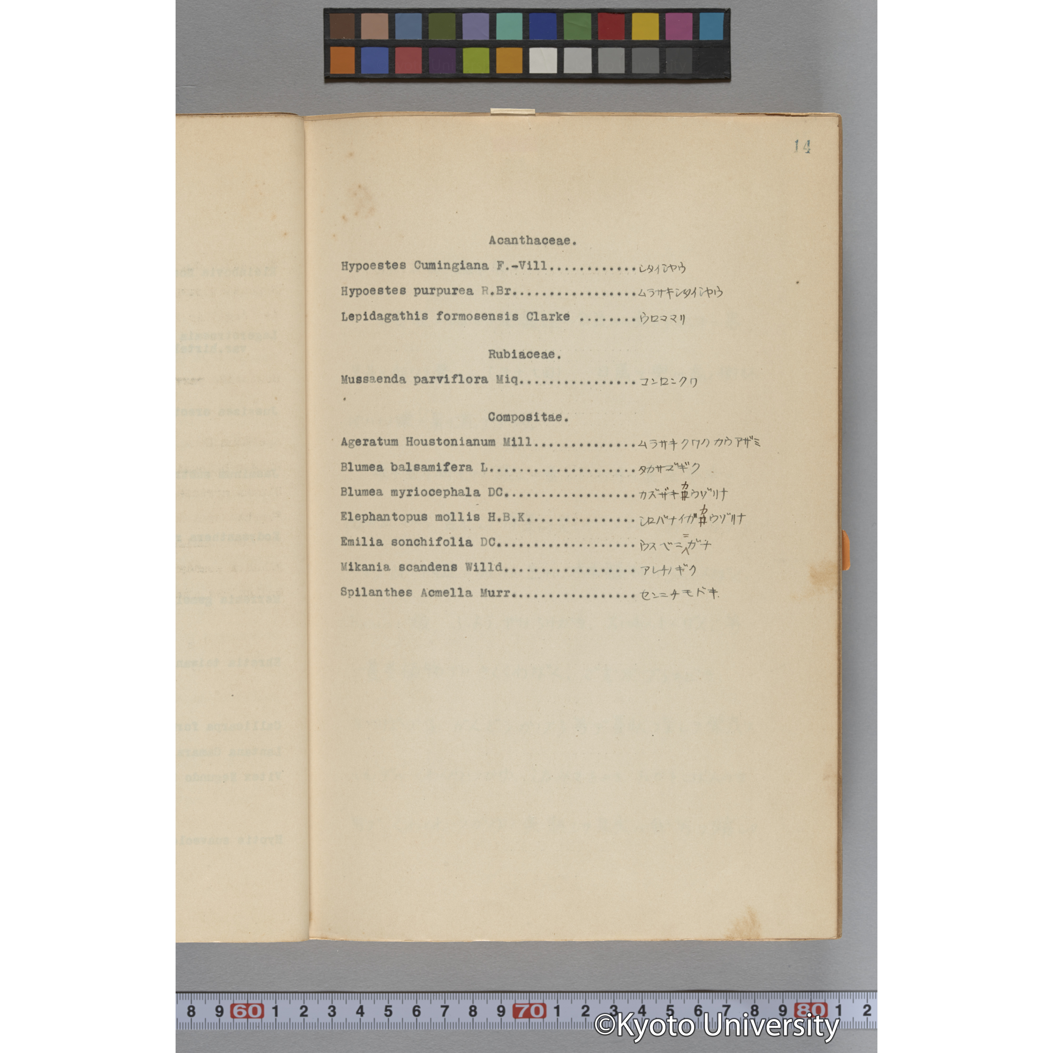 台湾演習林植物調査報告. 第一予報. 1931 植物調査班 (28)