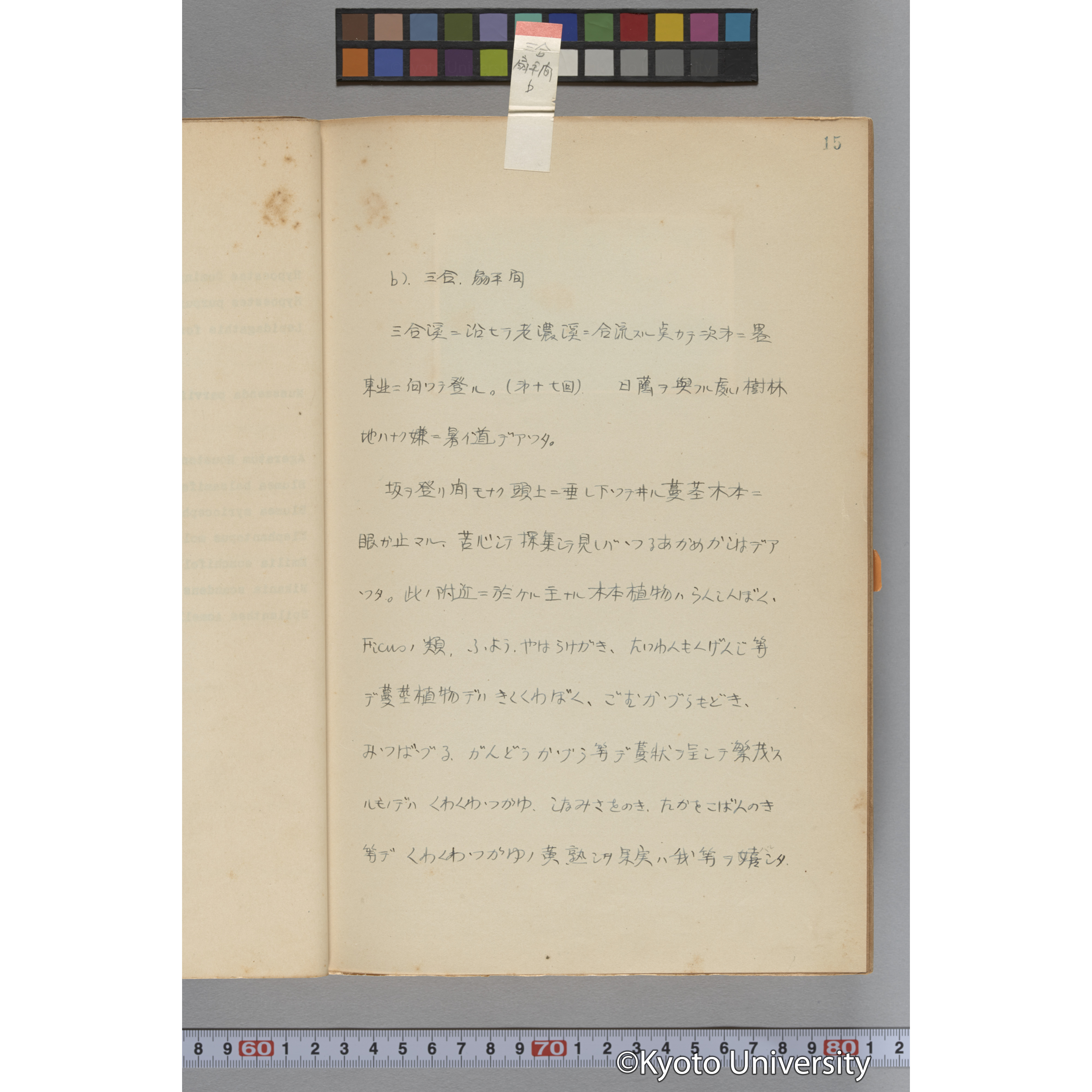 台湾演習林植物調査報告. 第一予報. 1931 植物調査班 (29)