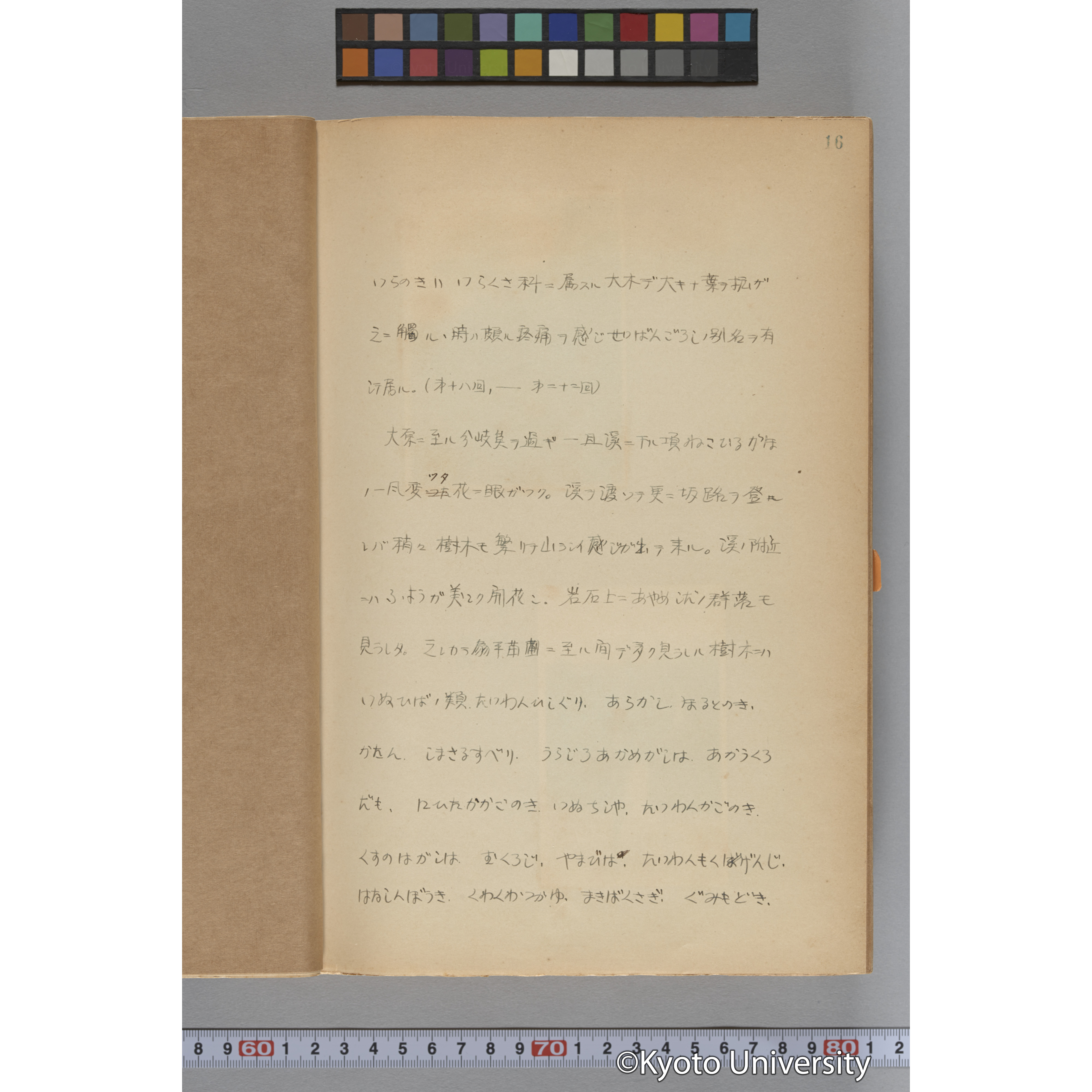 台湾演習林植物調査報告. 第一予報. 1931 植物調査班 (31)