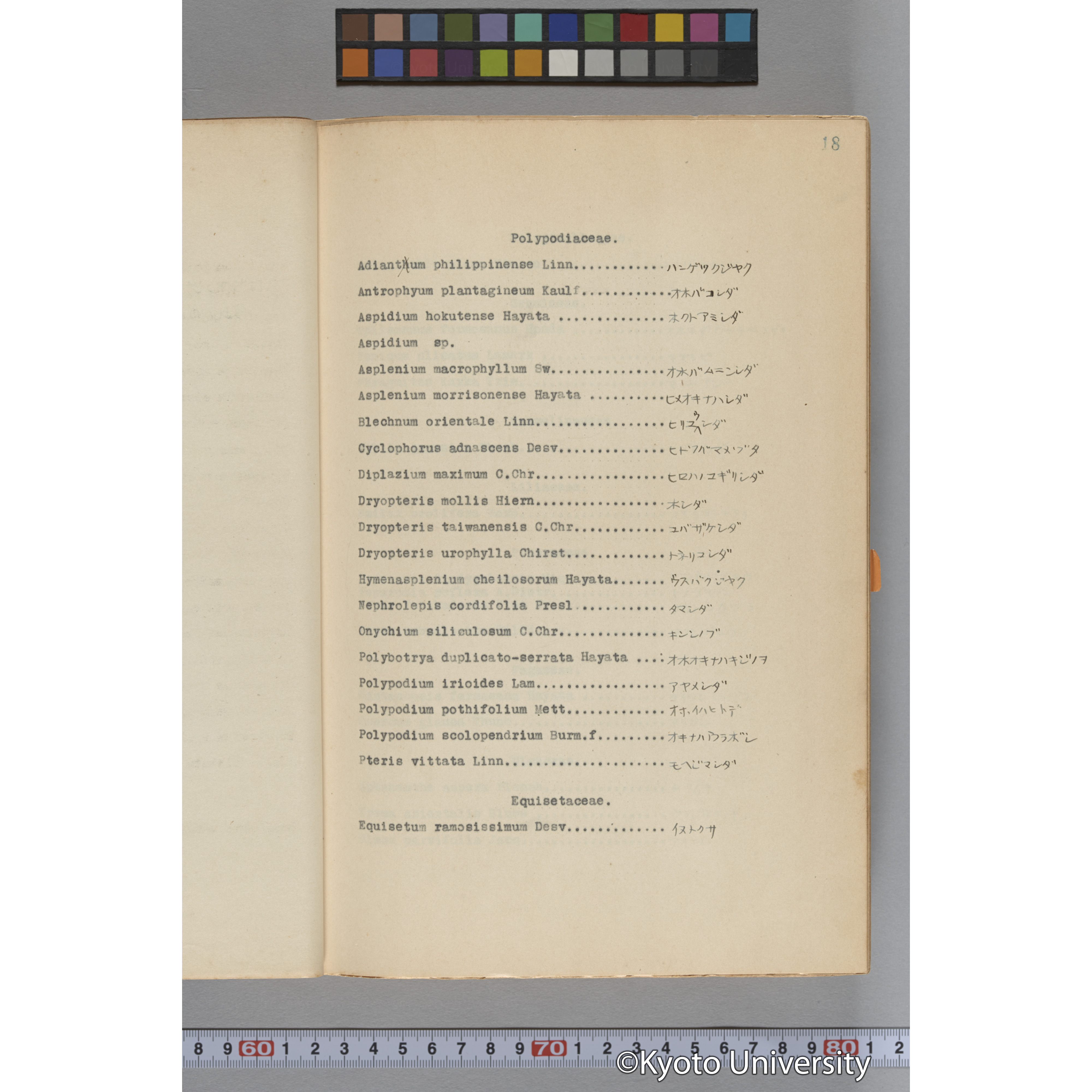 台湾演習林植物調査報告. 第一予報. 1931 植物調査班 (36)