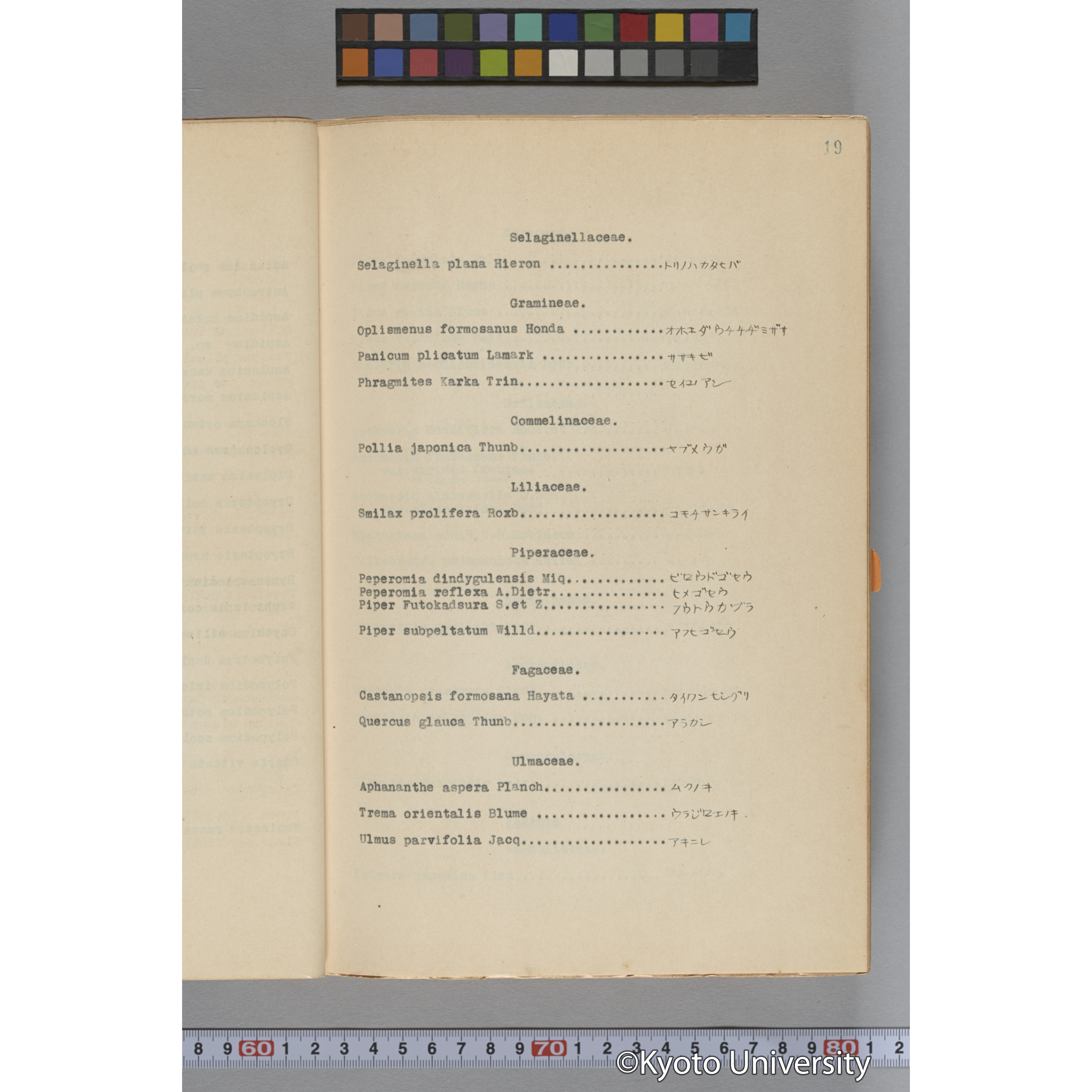 台湾演習林植物調査報告. 第一予報. 1931 植物調査班 (37)