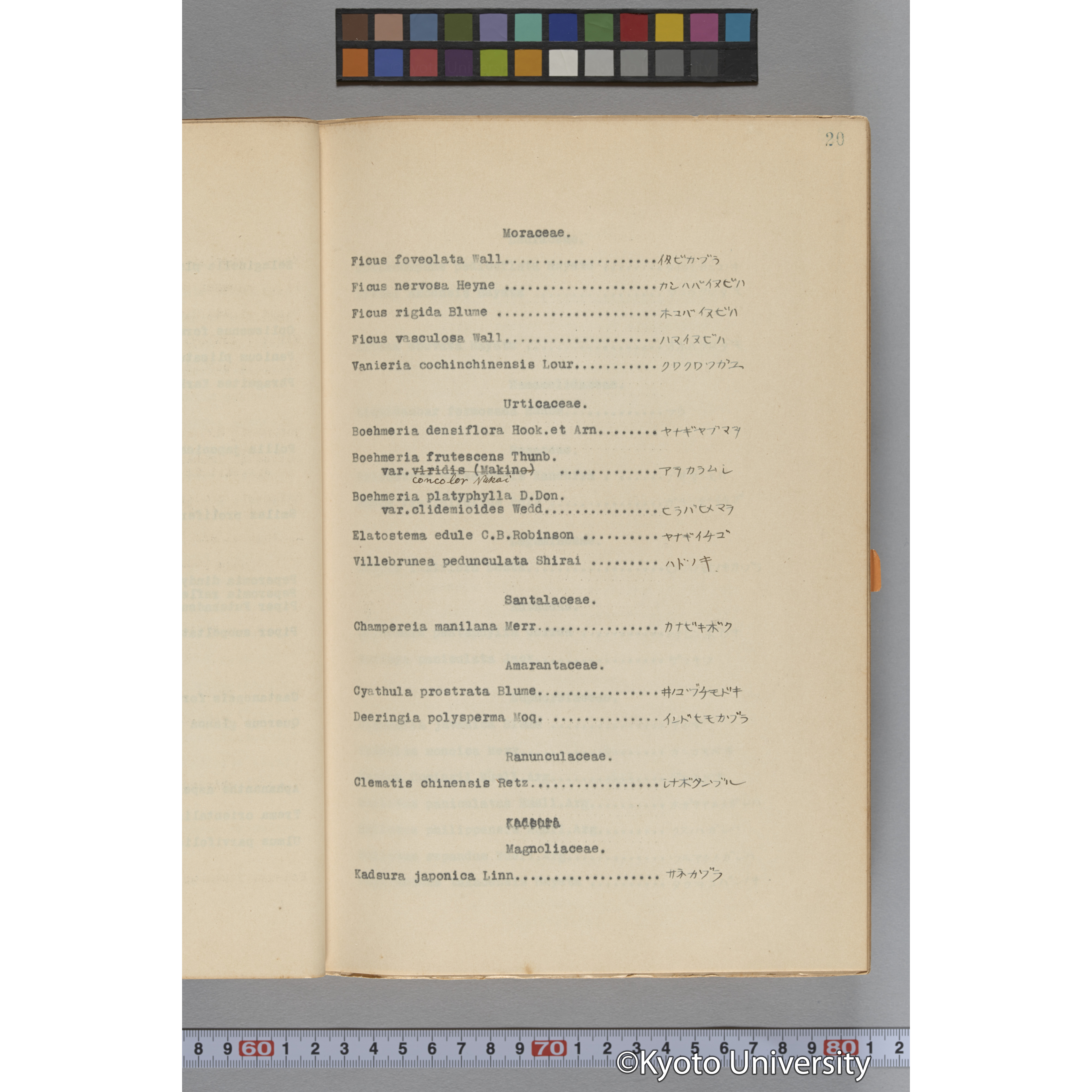 台湾演習林植物調査報告. 第一予報. 1931 植物調査班 (38)