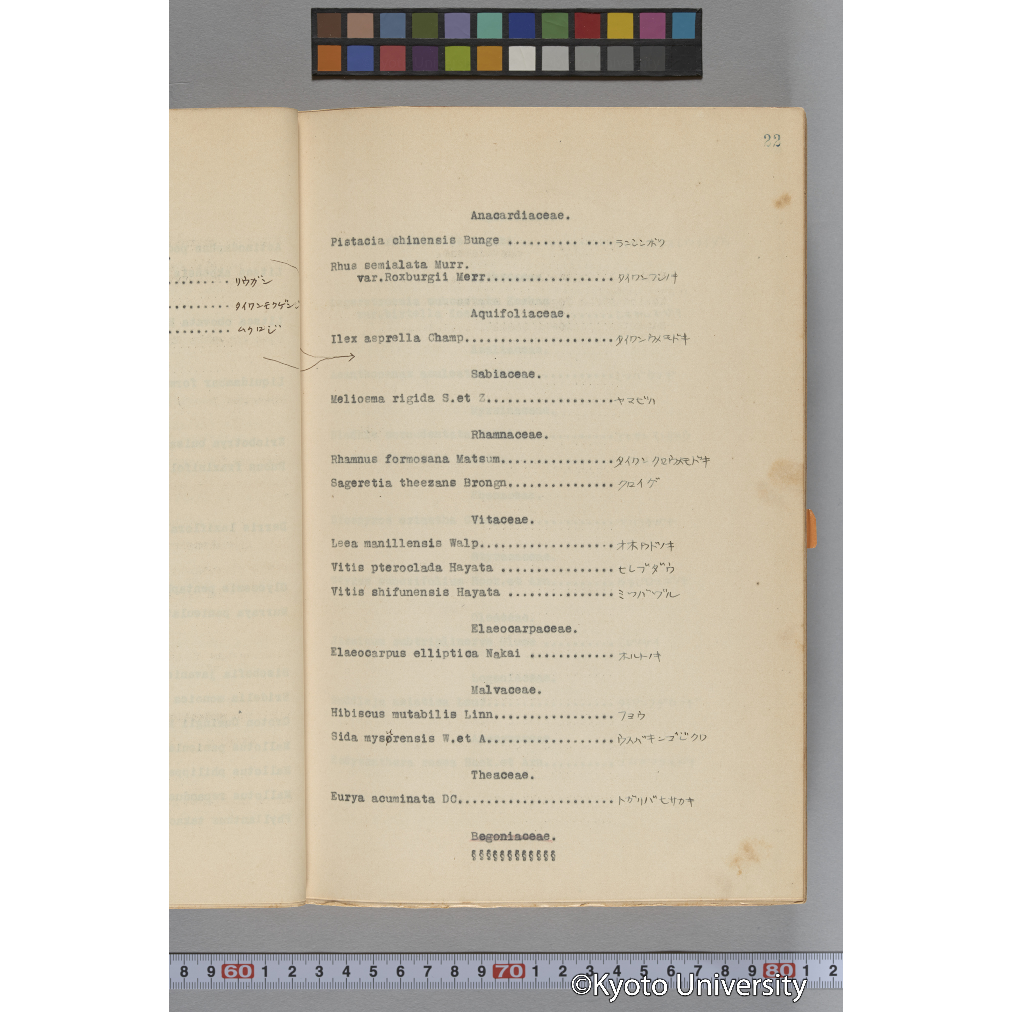 台湾演習林植物調査報告. 第一予報. 1931 植物調査班 (40)