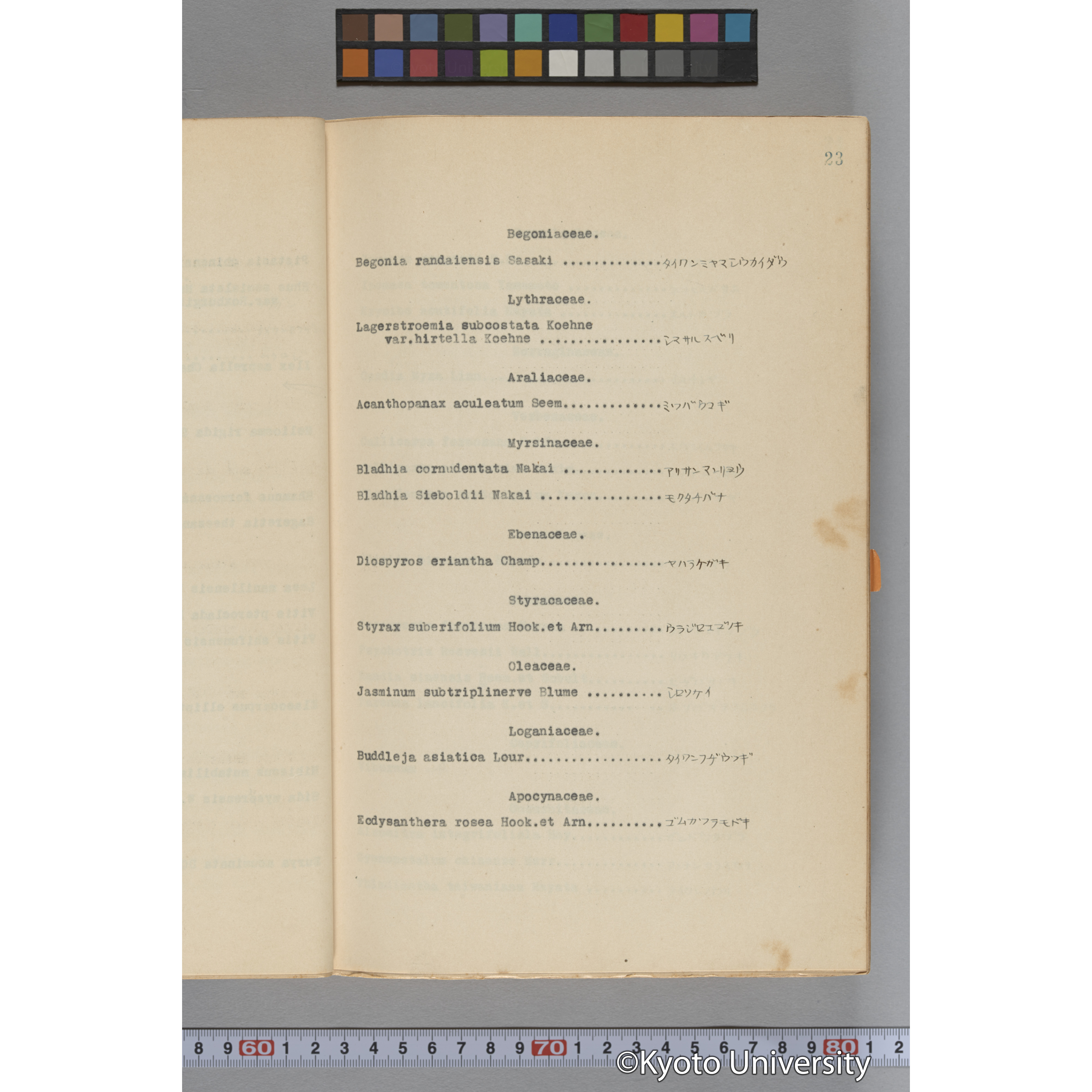 台湾演習林植物調査報告. 第一予報. 1931 植物調査班 (41)