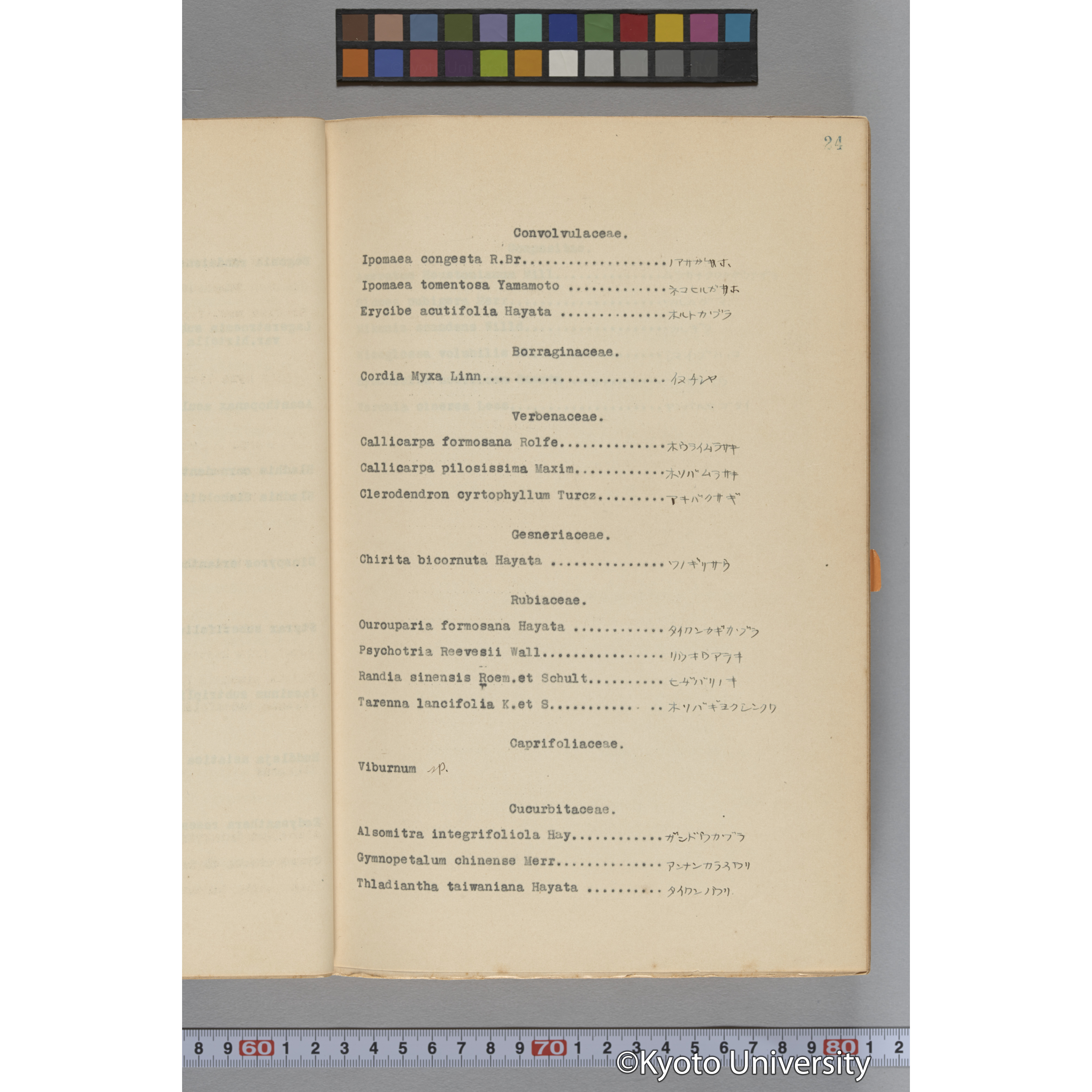 台湾演習林植物調査報告. 第一予報. 1931 植物調査班 (42)