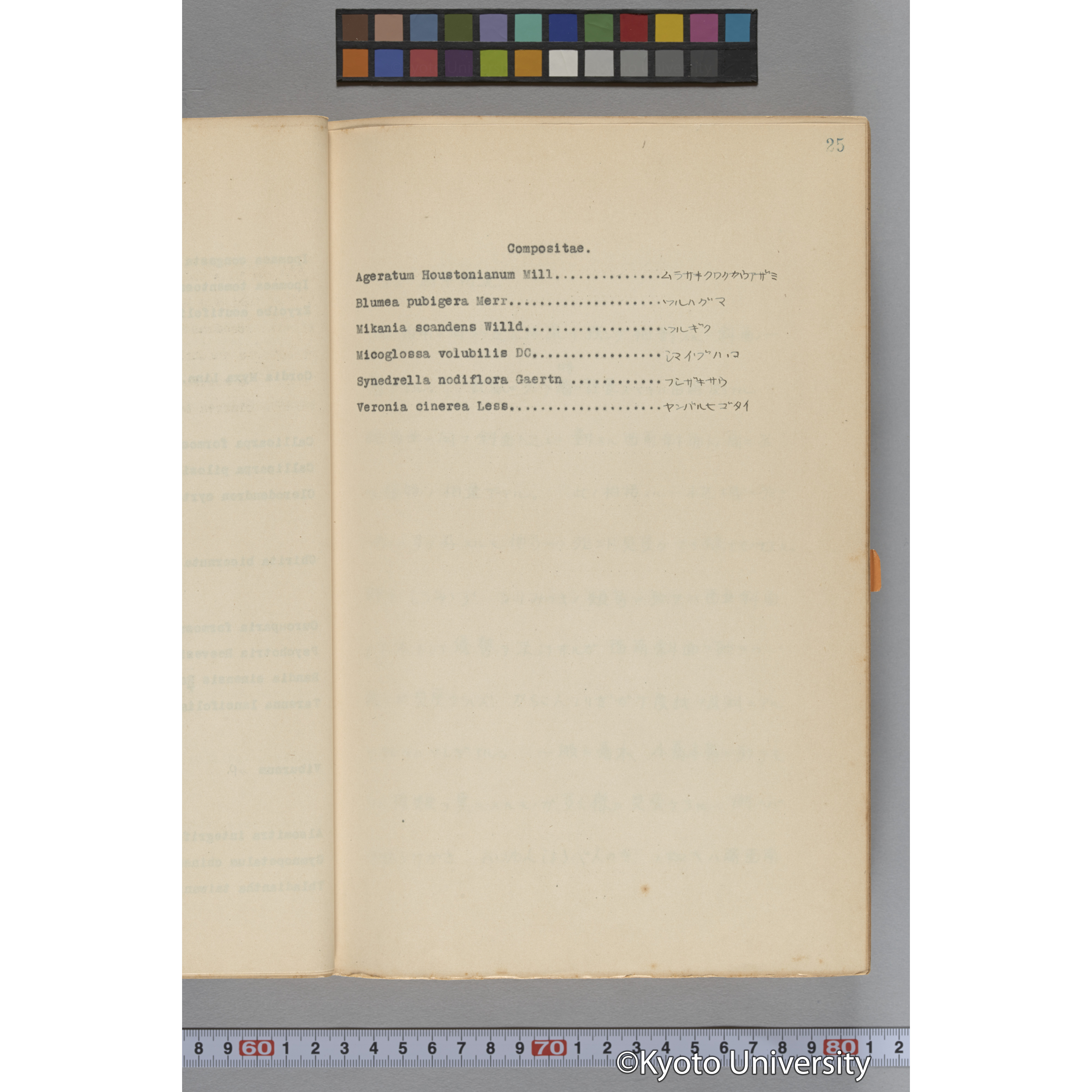 台湾演習林植物調査報告. 第一予報. 1931 植物調査班 (43)