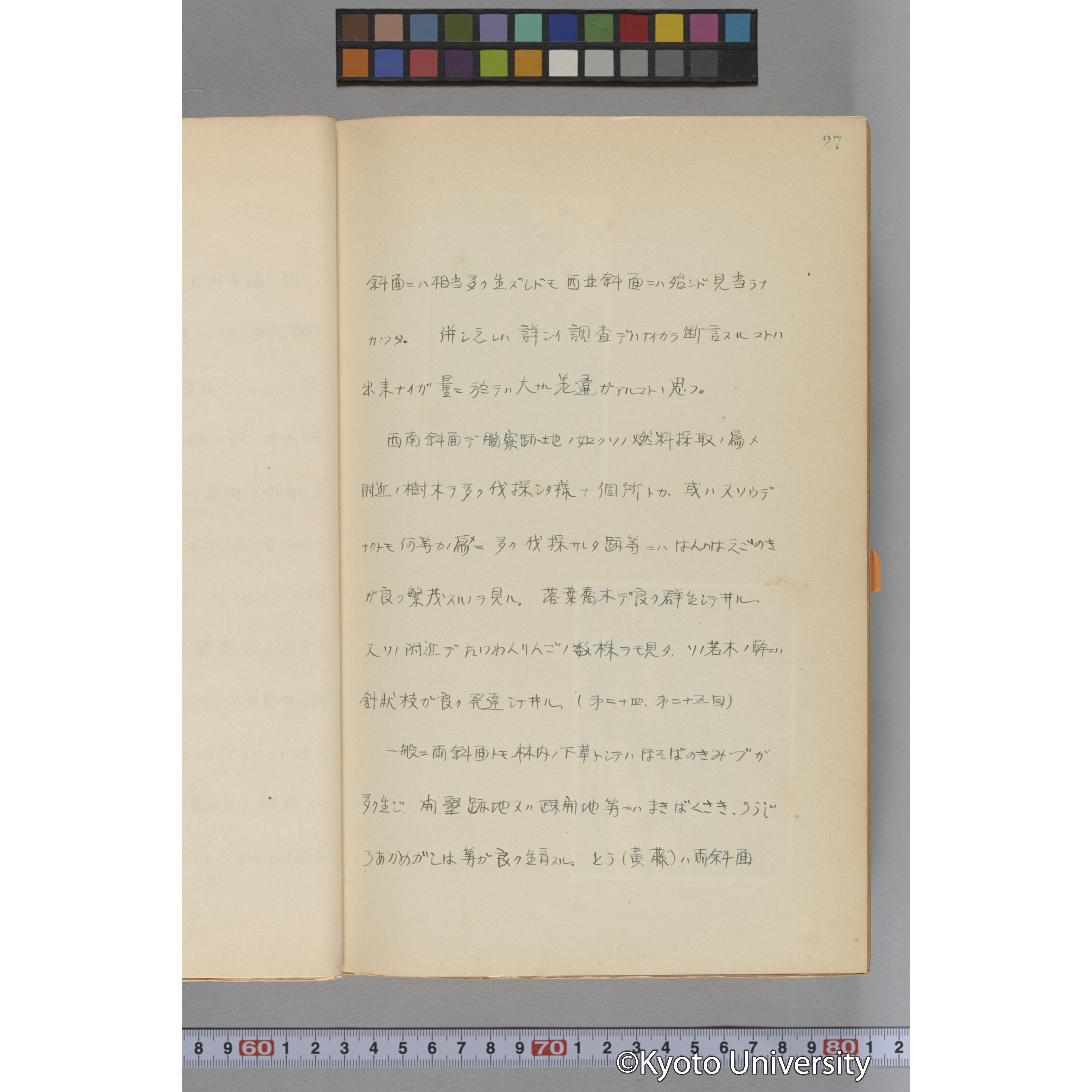 台湾演習林植物調査報告. 第一予報. 1931 植物調査班 (45)