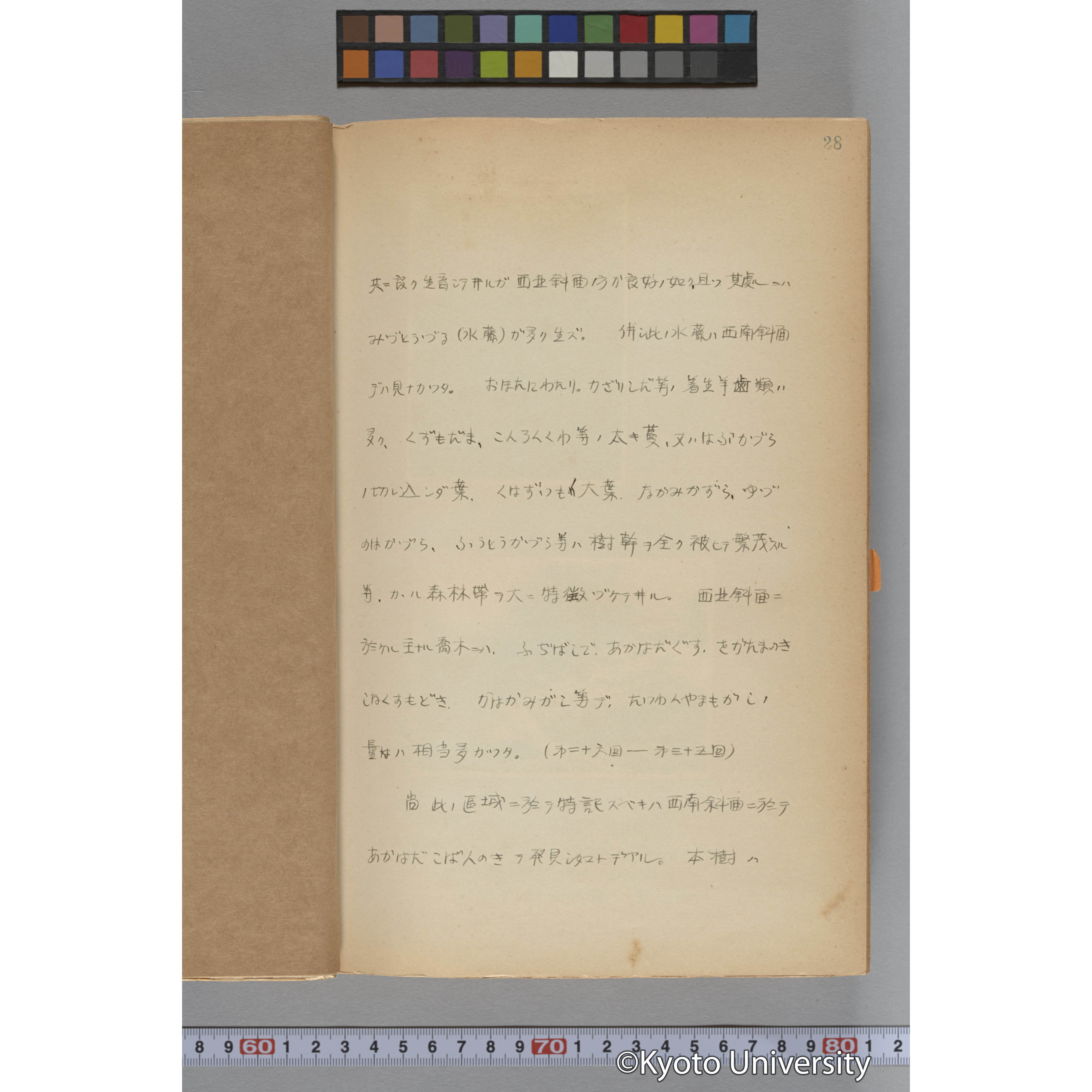 台湾演習林植物調査報告. 第一予報. 1931 植物調査班 (47)