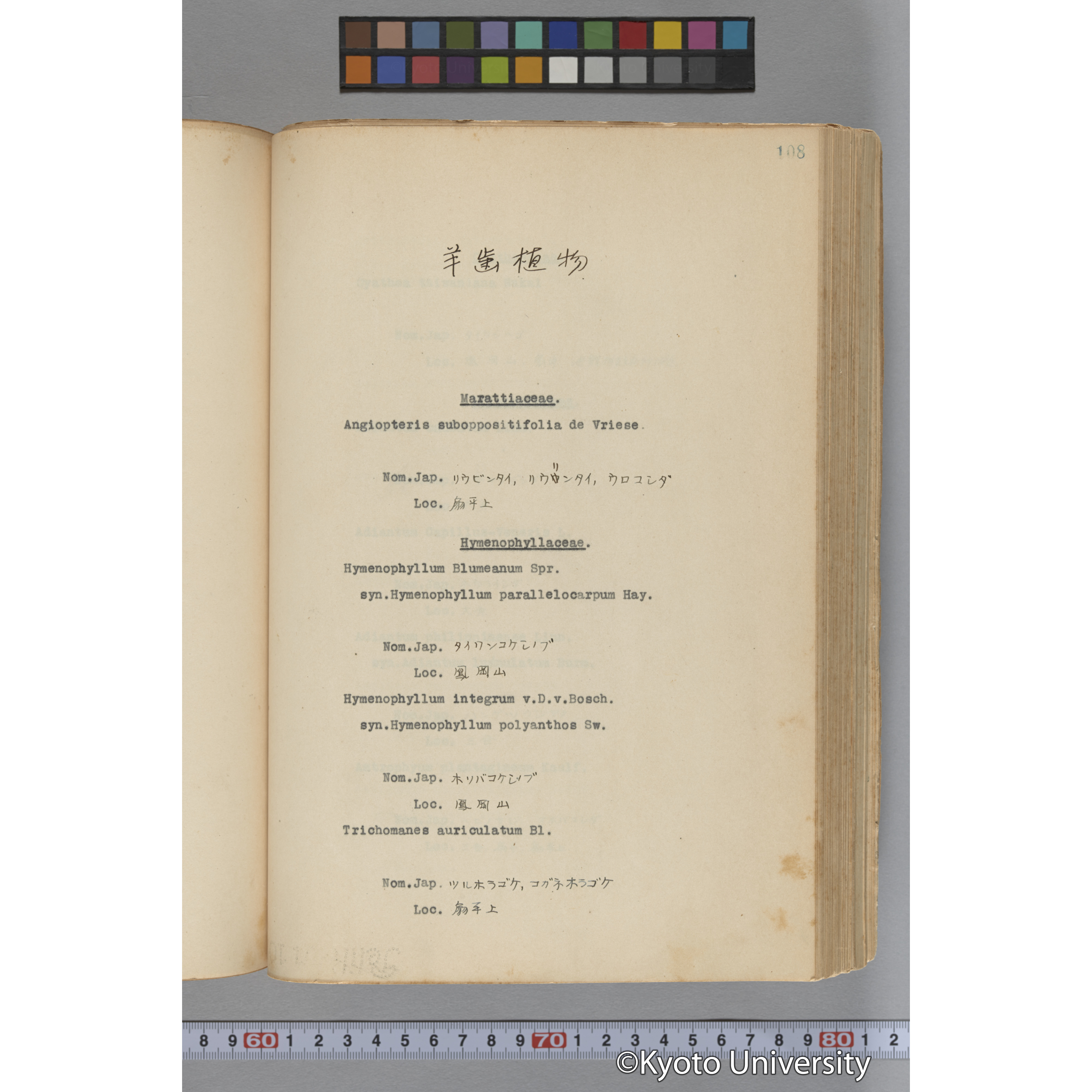 台湾演習林植物調査報告. 第一予報. 1931 植物調査班 (53)