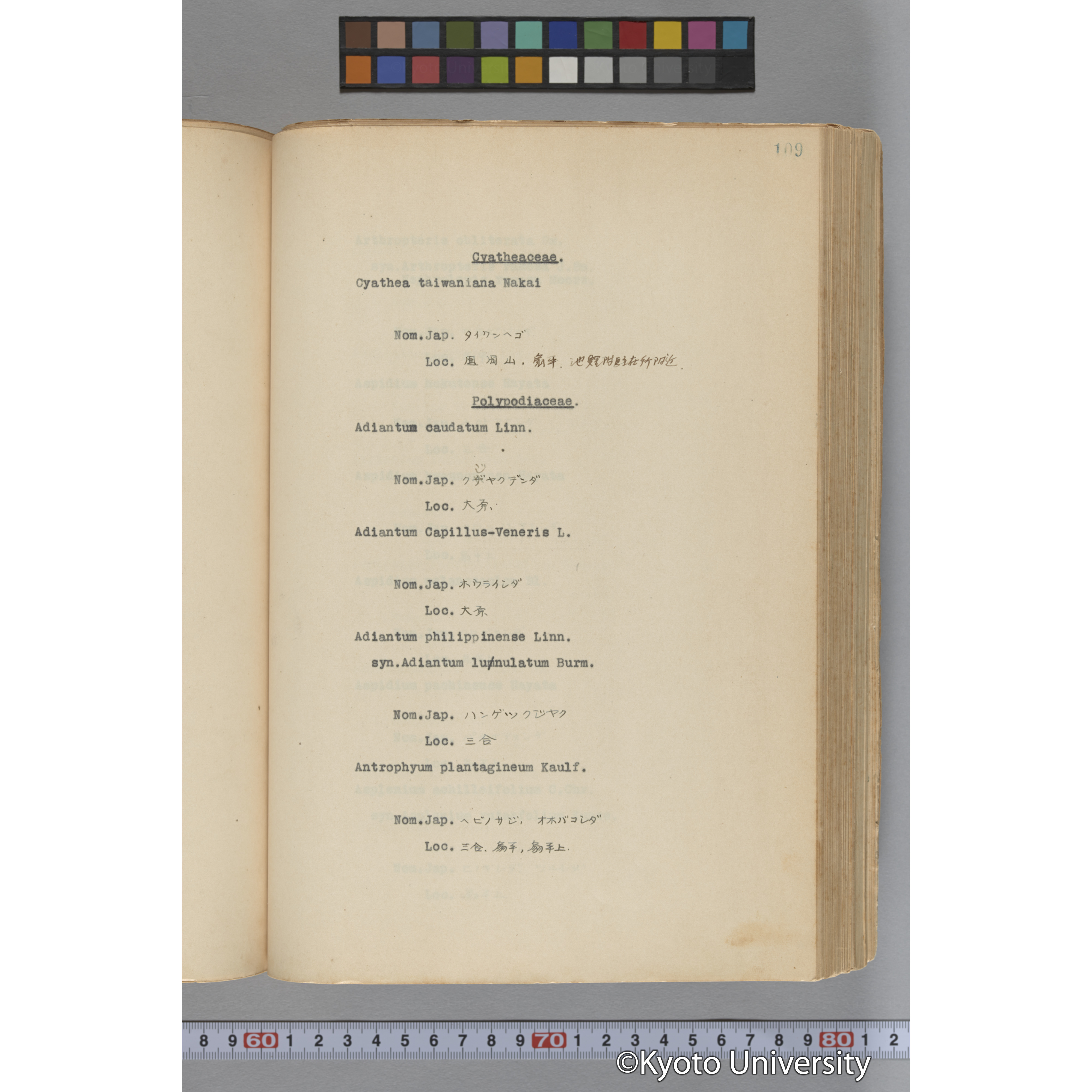 台湾演習林植物調査報告. 第一予報. 1931 植物調査班 (54)