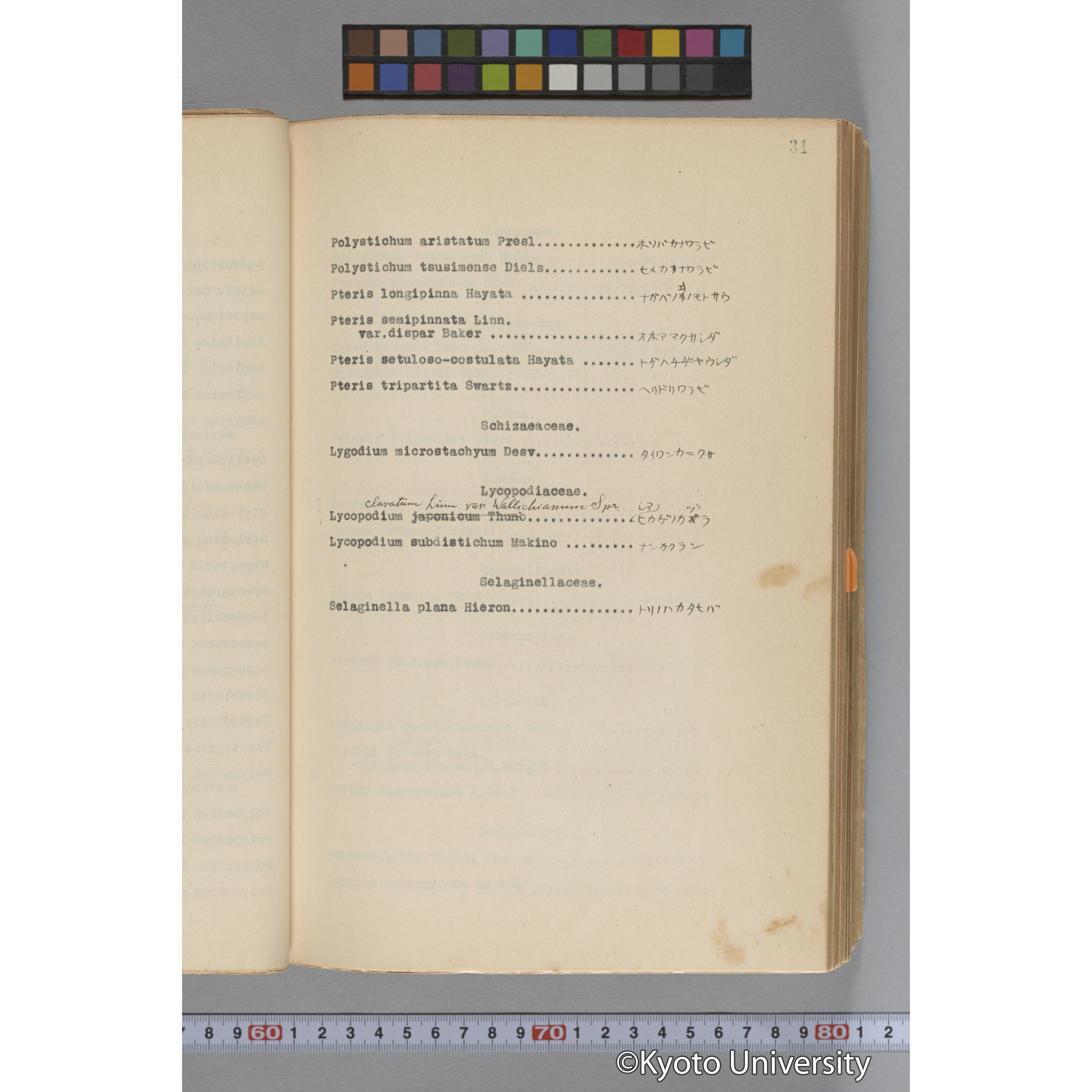 台湾演習林植物調査報告. 第一予報. 1931 植物調査班 (55)