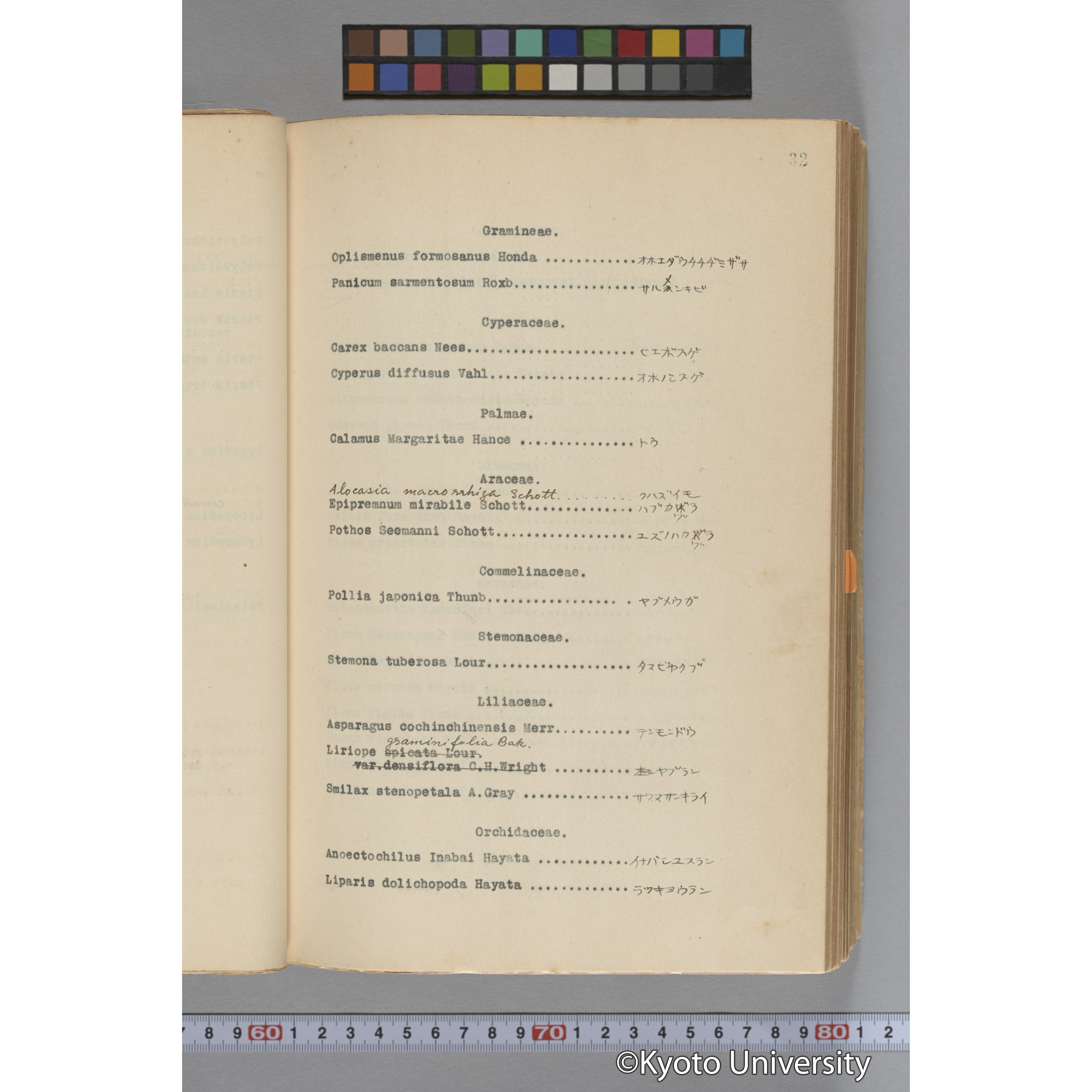 台湾演習林植物調査報告. 第一予報. 1931 植物調査班 (56)