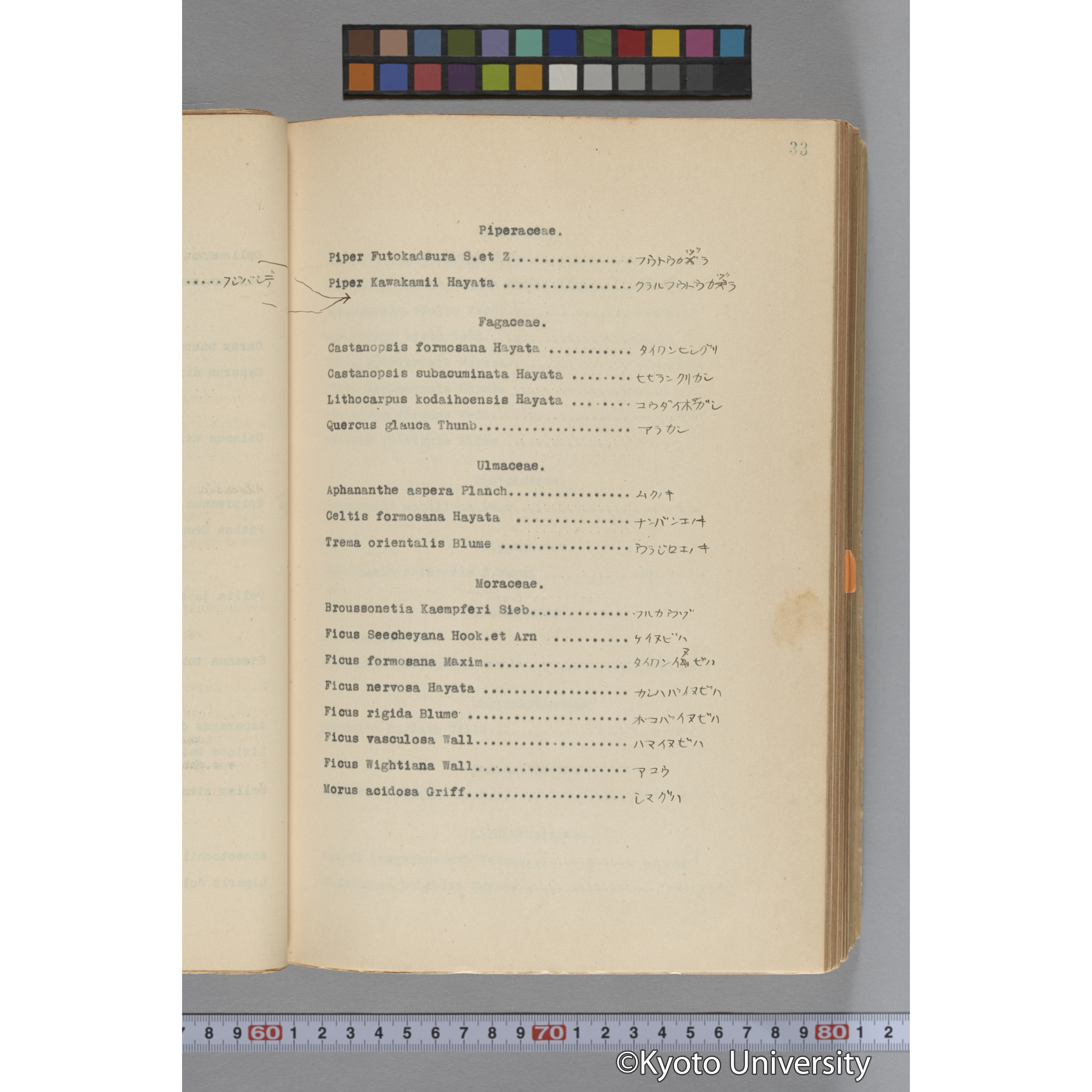 台湾演習林植物調査報告. 第一予報. 1931 植物調査班 (57)