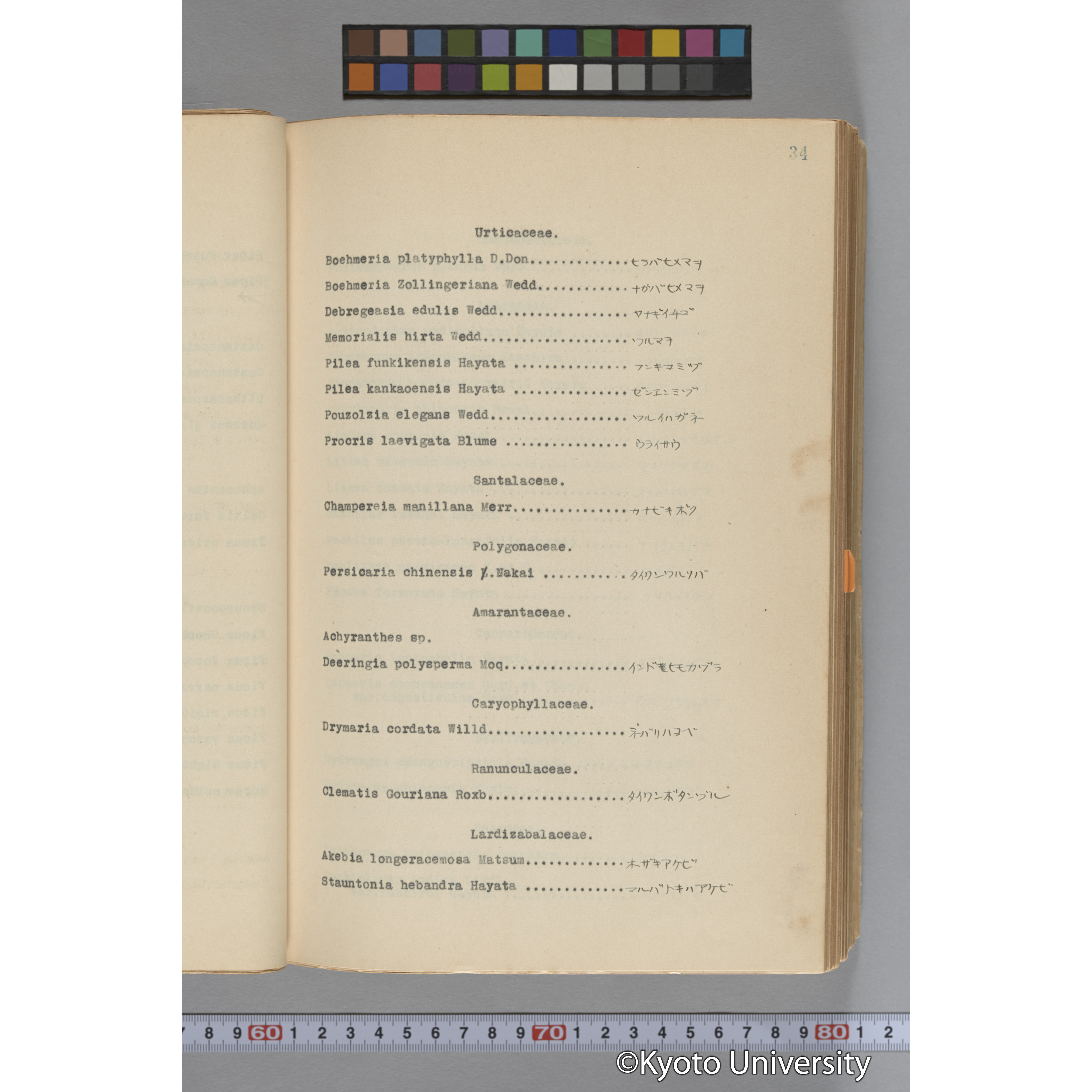 台湾演習林植物調査報告. 第一予報. 1931 植物調査班 (58)