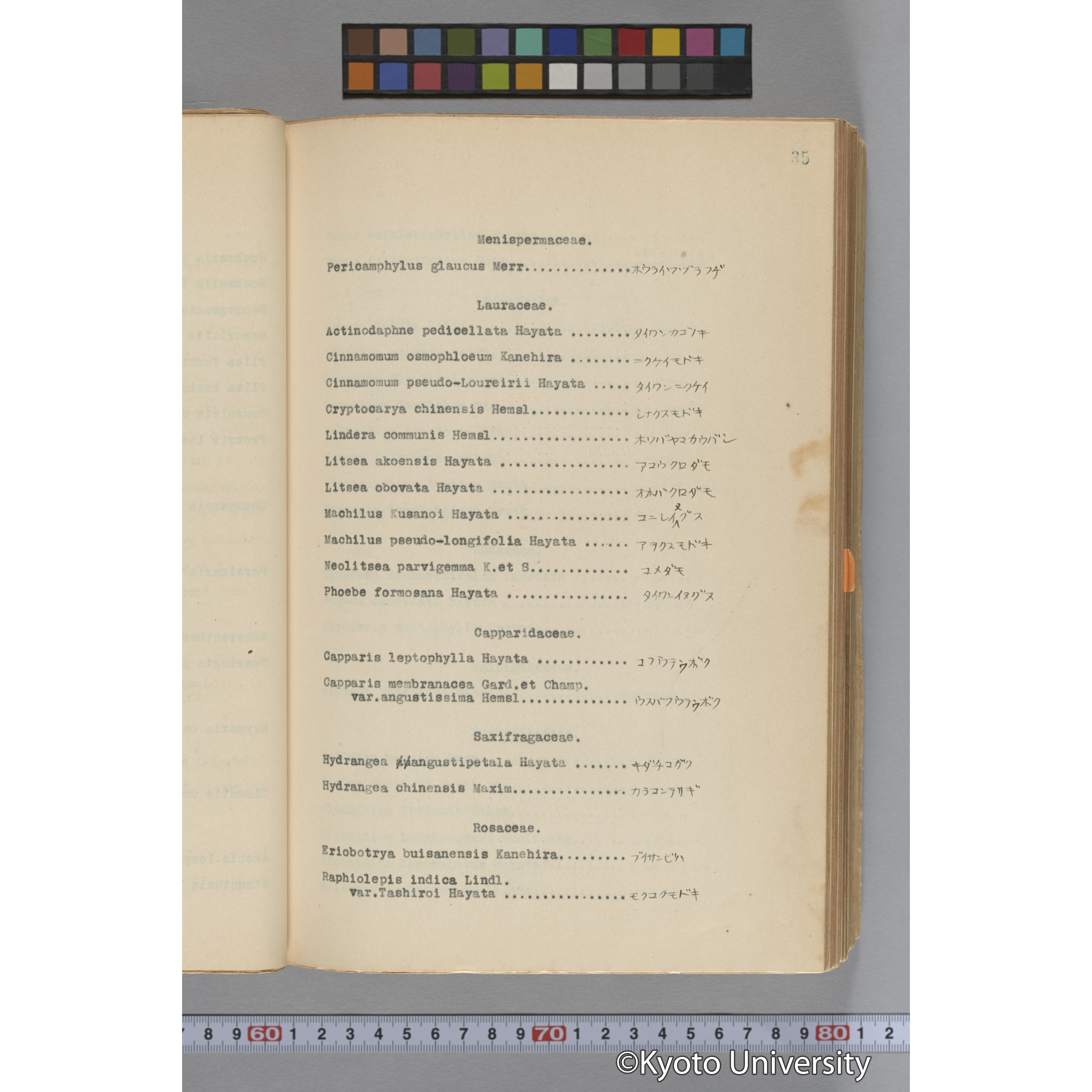 台湾演習林植物調査報告. 第一予報. 1931 植物調査班 (59)