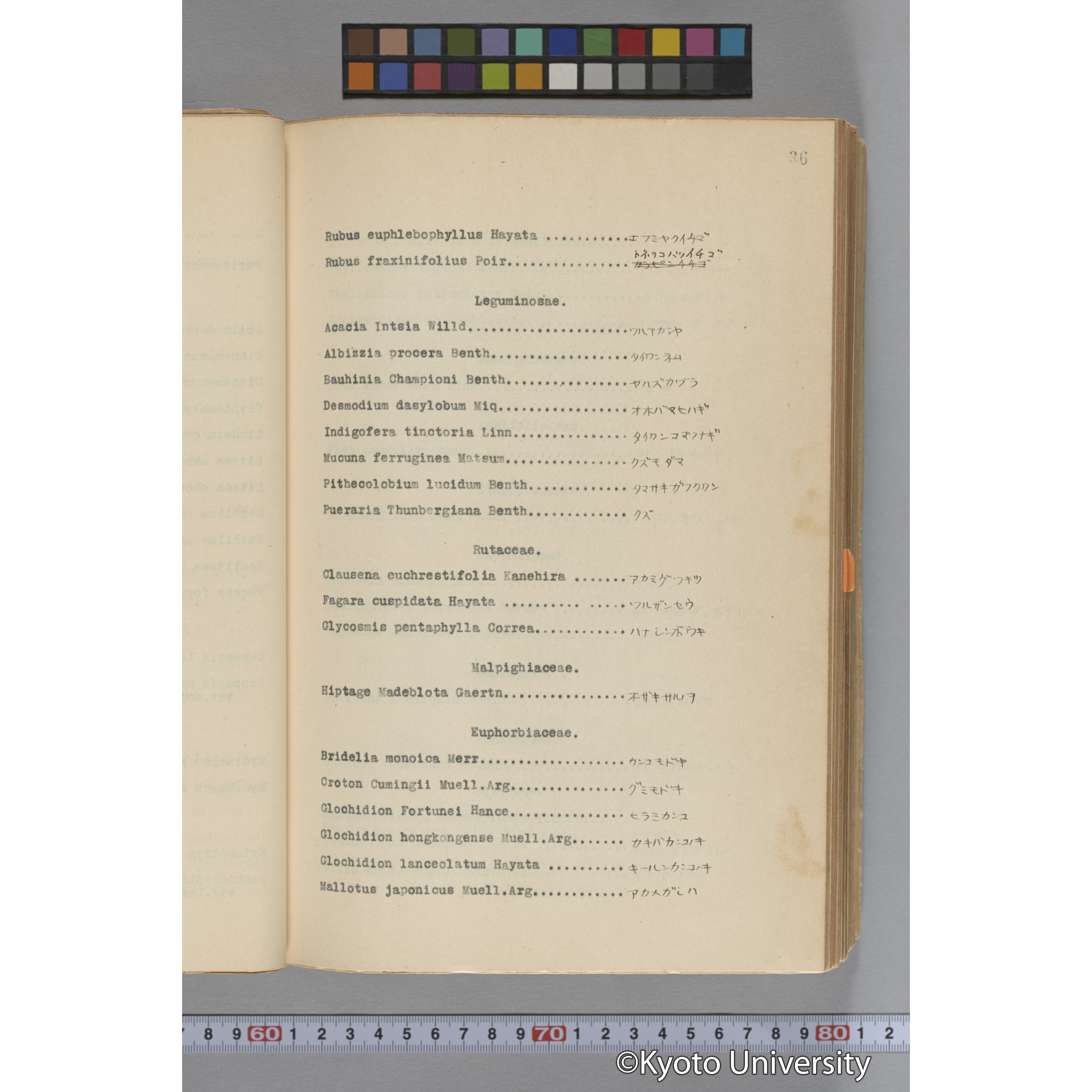 台湾演習林植物調査報告. 第一予報. 1931 植物調査班 (60)