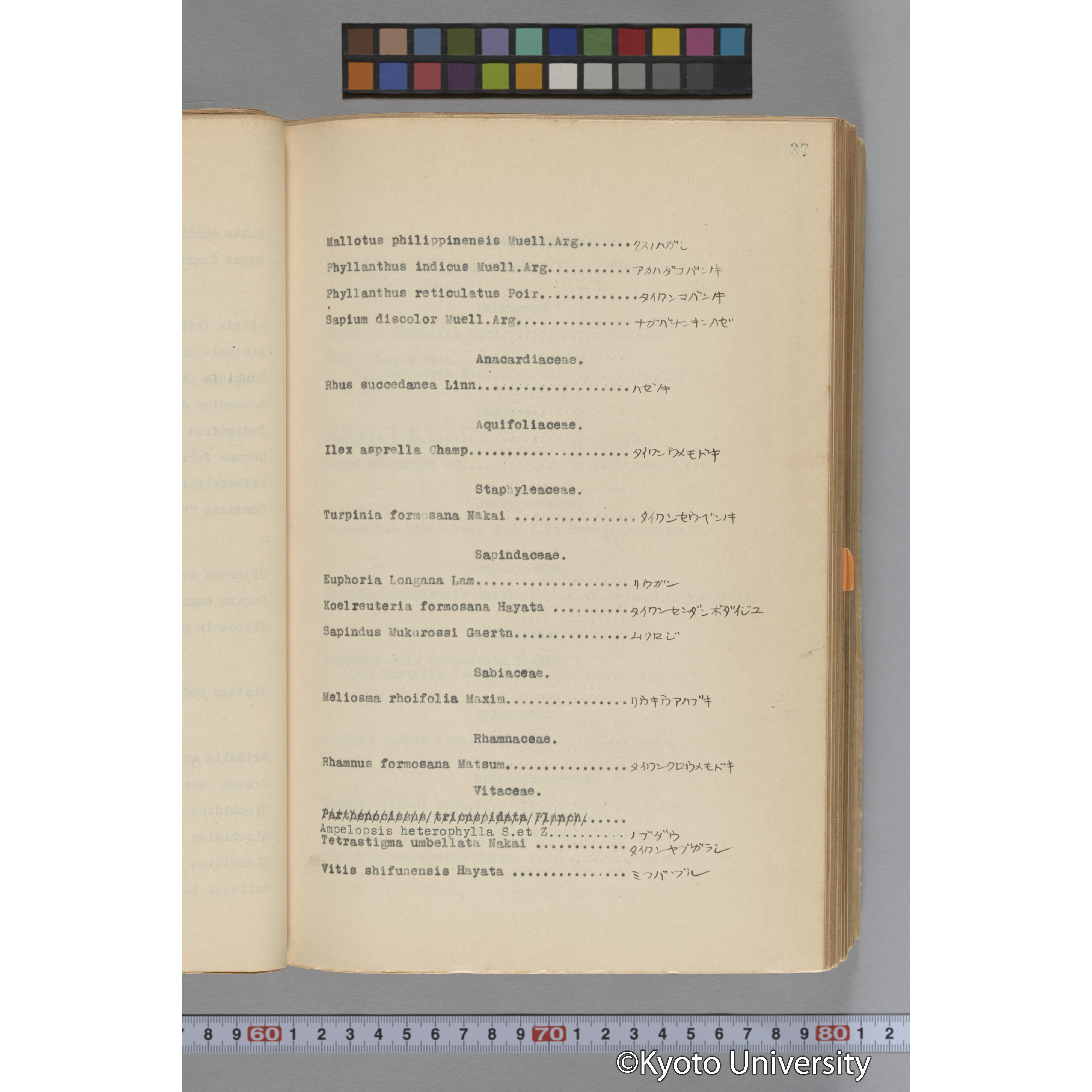 台湾演習林植物調査報告. 第一予報. 1931 植物調査班 (61)