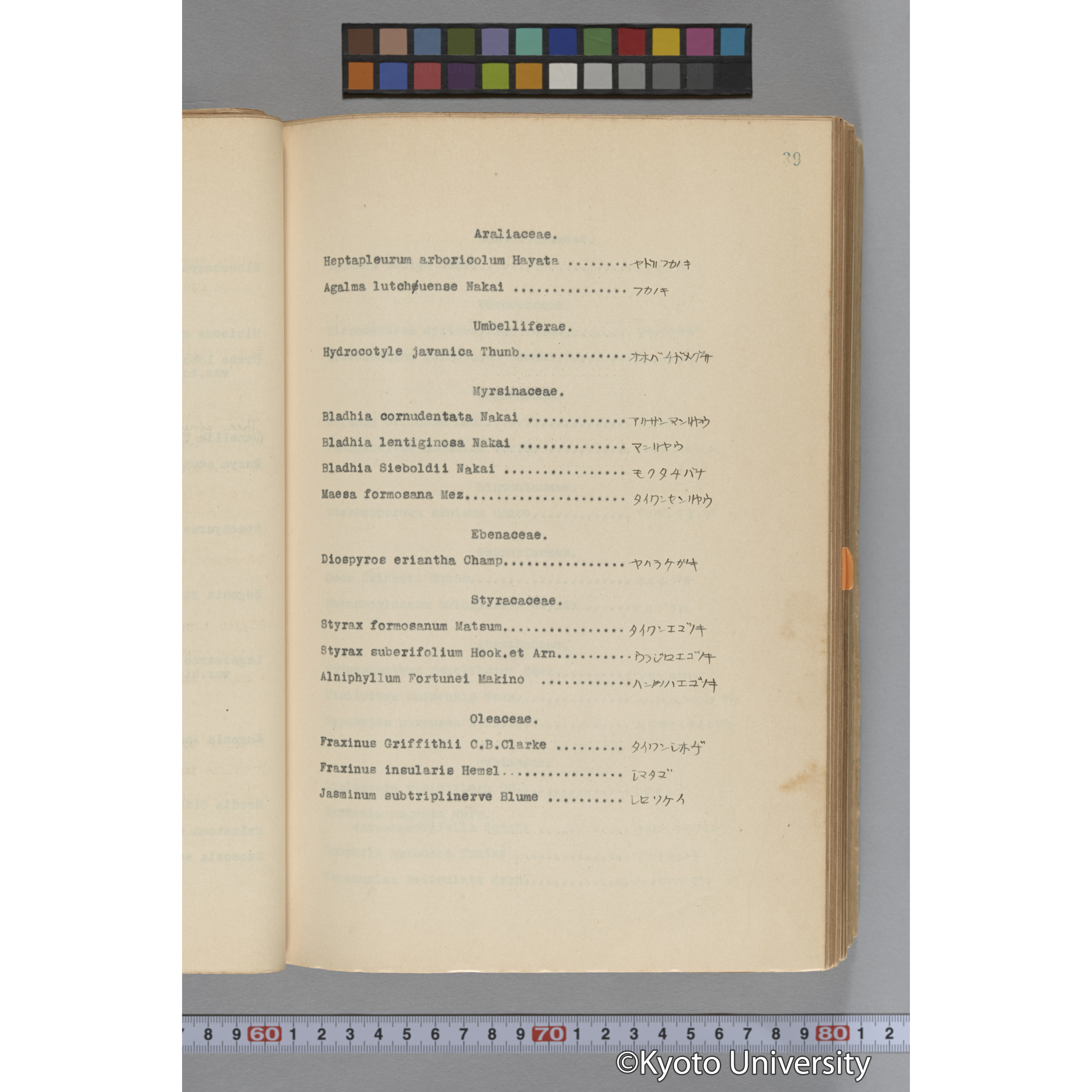 台湾演習林植物調査報告. 第一予報. 1931 植物調査班 (63)