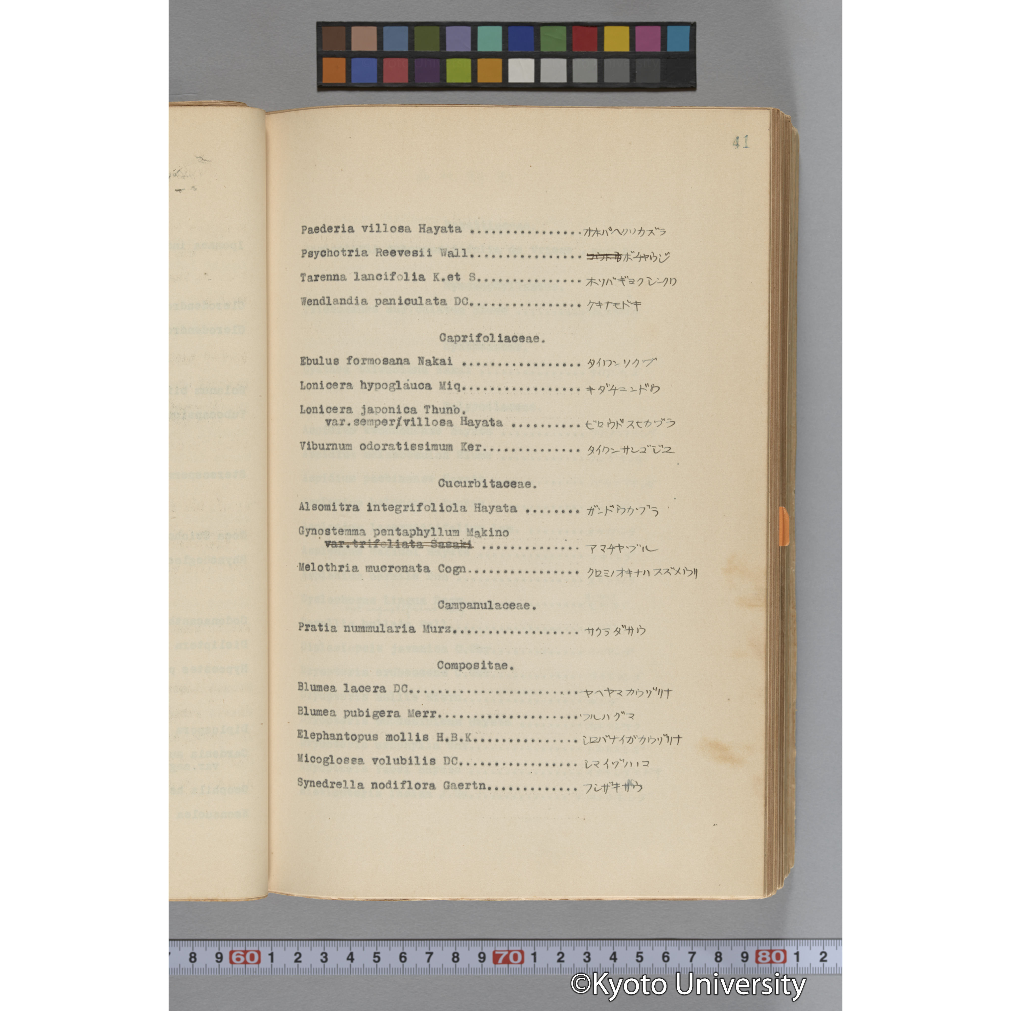 台湾演習林植物調査報告. 第一予報. 1931 植物調査班 (65)