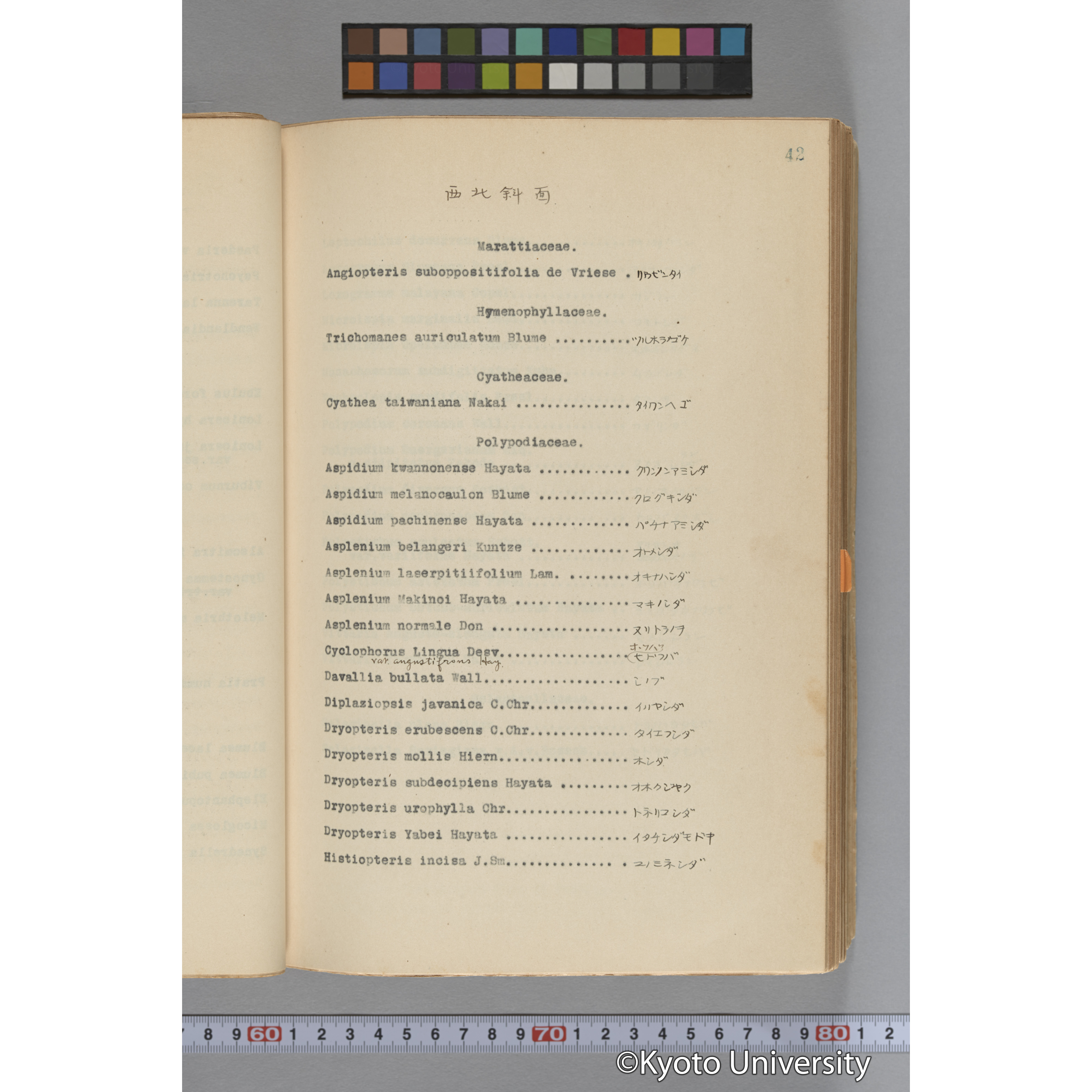 台湾演習林植物調査報告. 第一予報. 1931 植物調査班 (66)