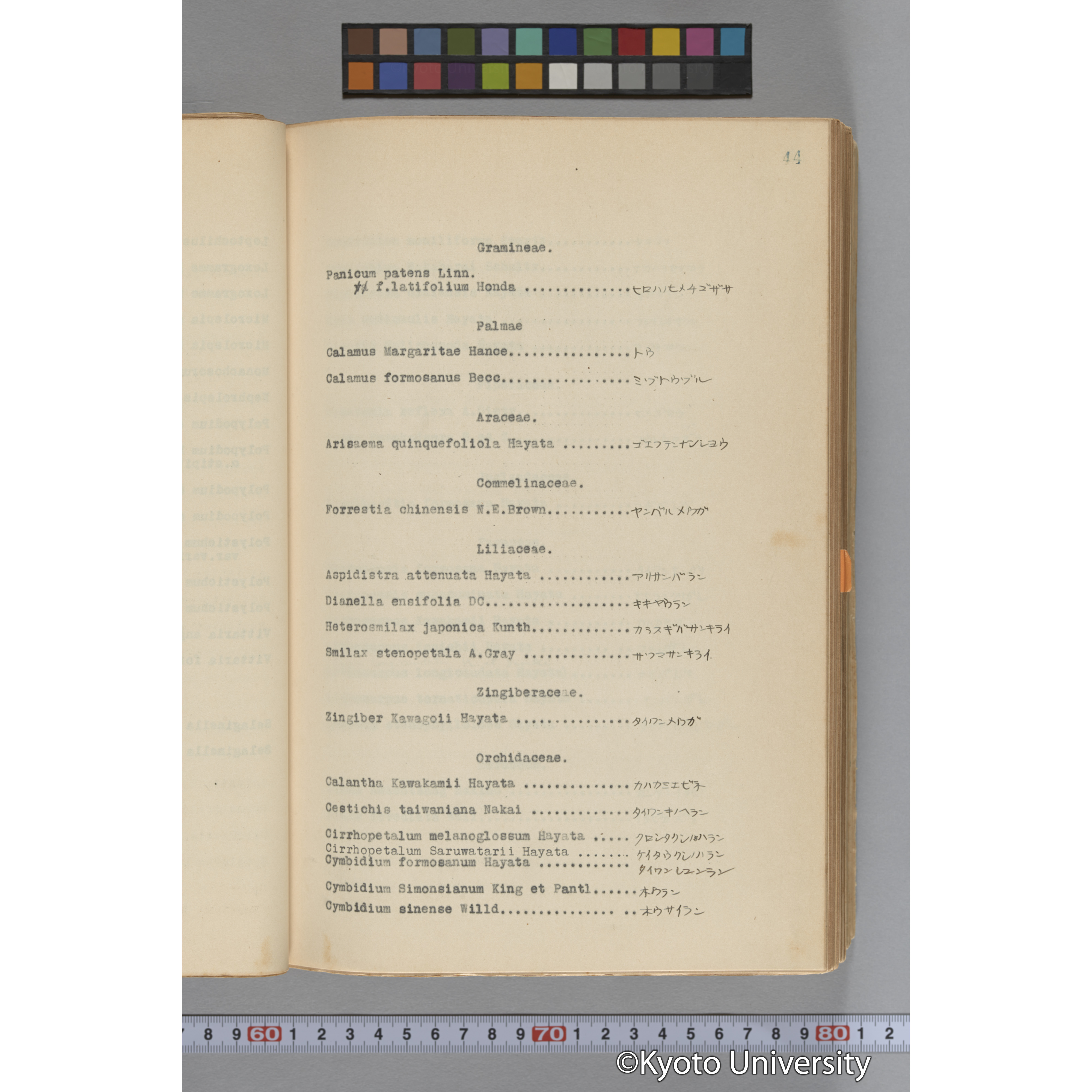 台湾演習林植物調査報告. 第一予報. 1931 植物調査班 (68)