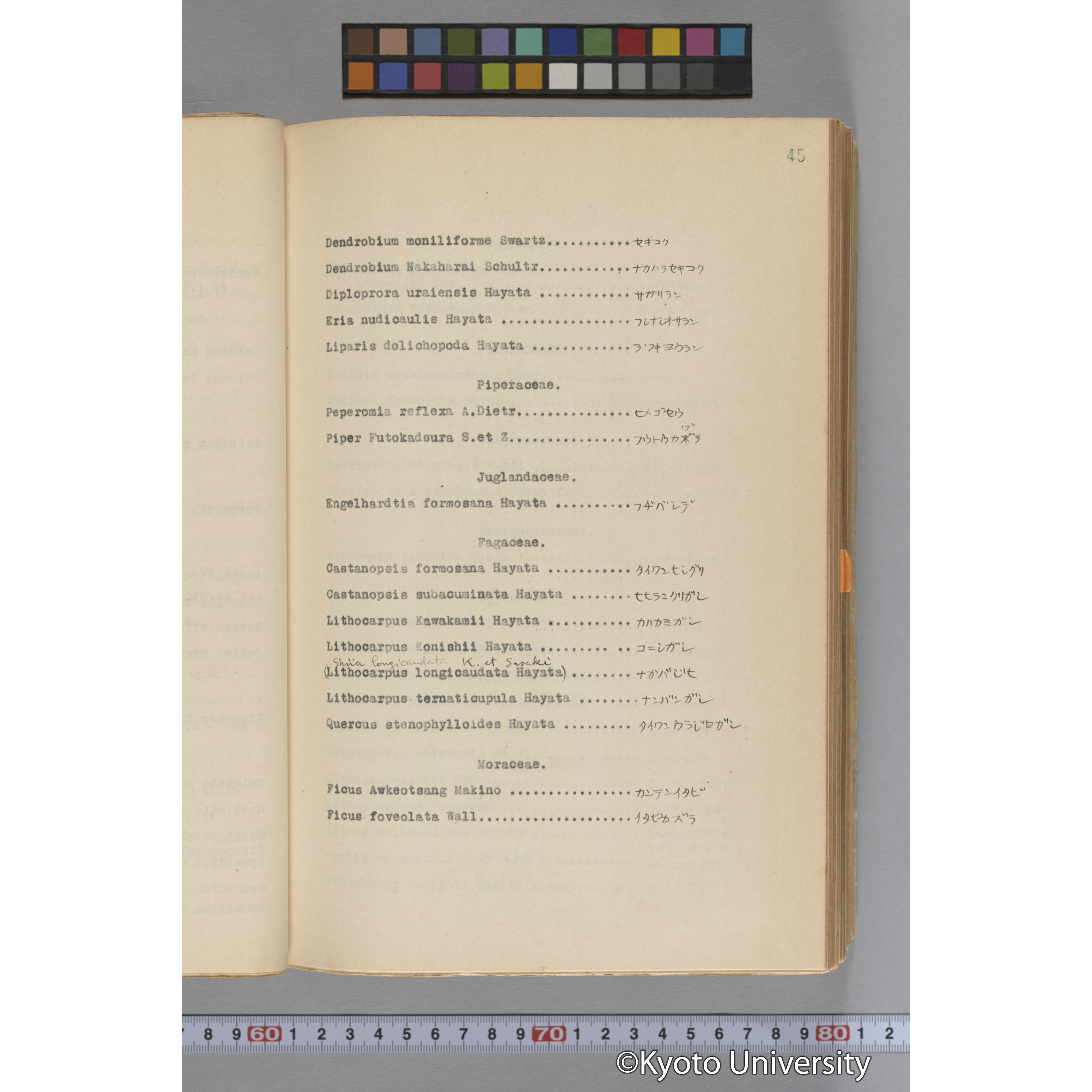 台湾演習林植物調査報告. 第一予報. 1931 植物調査班 (69)