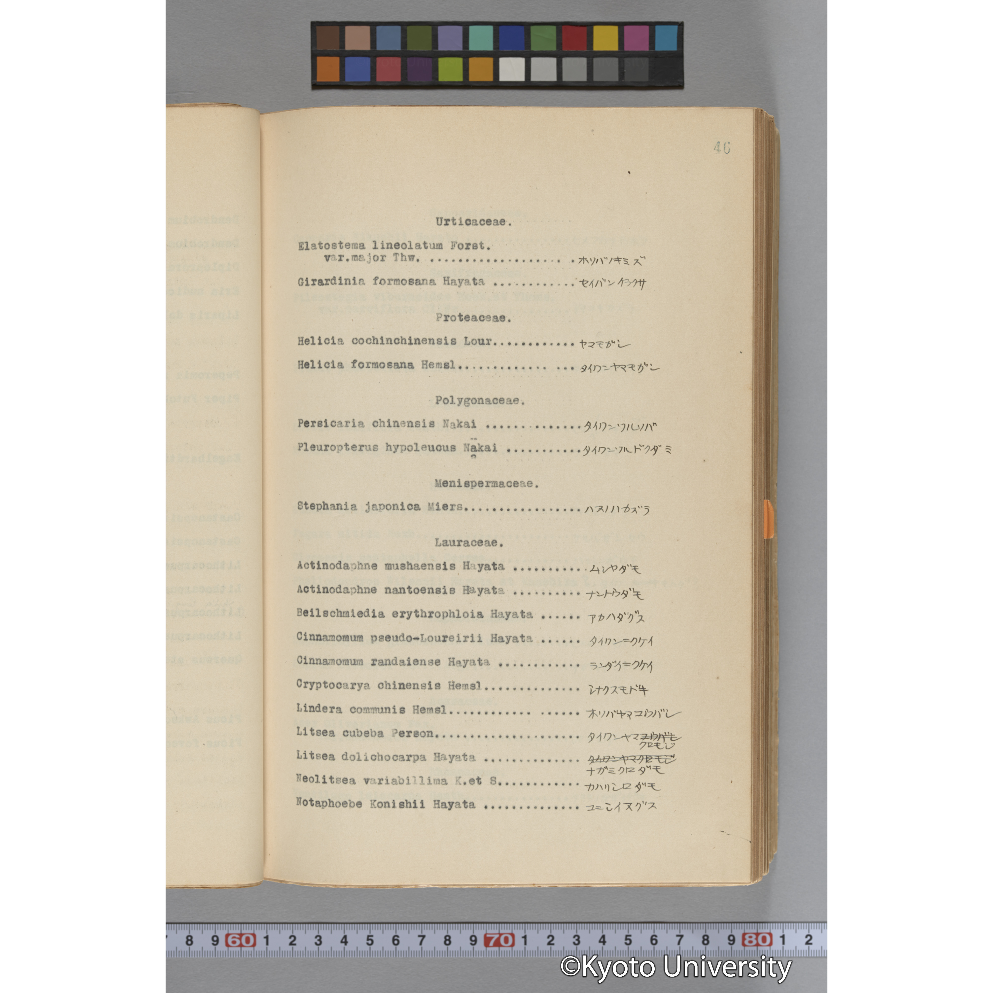 台湾演習林植物調査報告. 第一予報. 1931 植物調査班 (70)