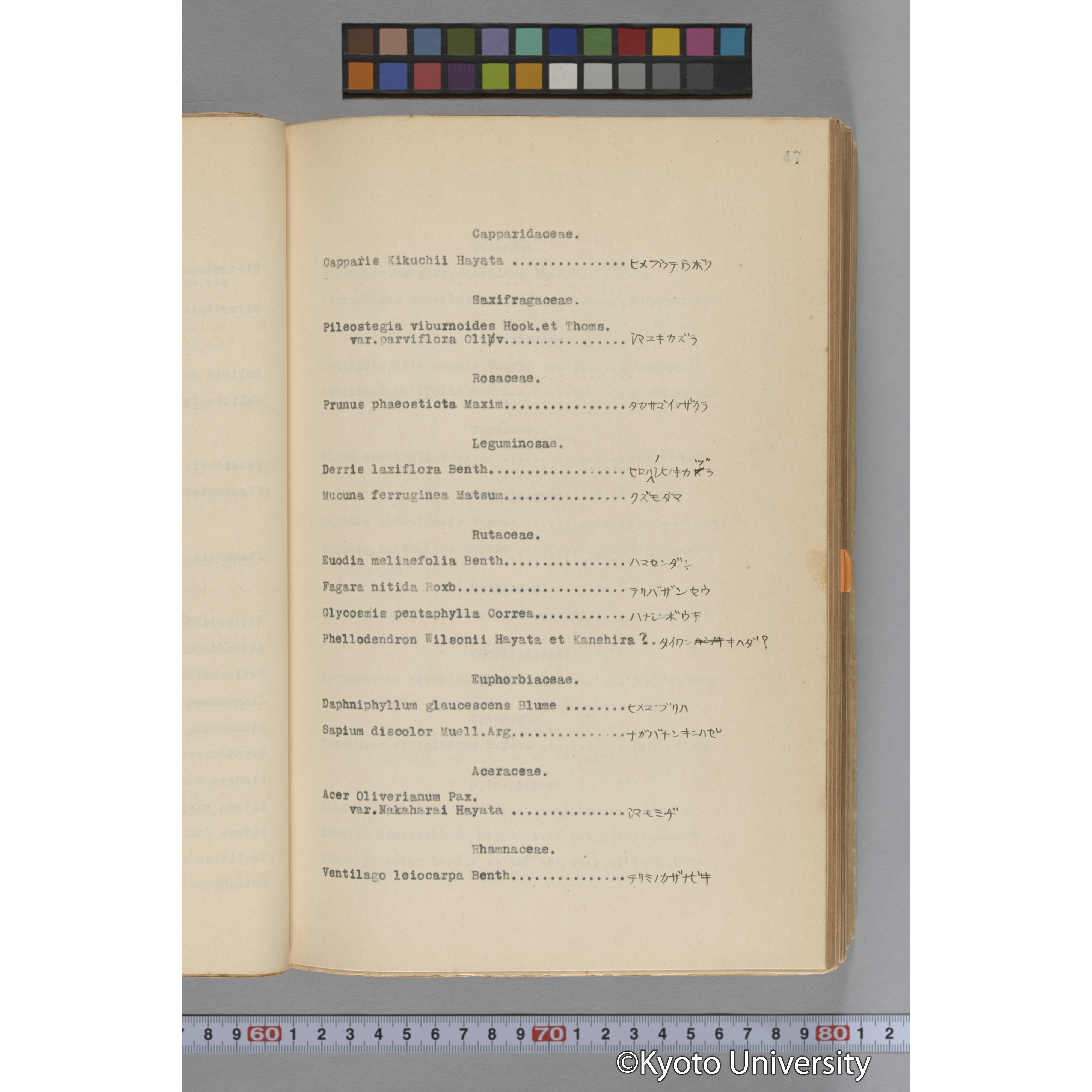 台湾演習林植物調査報告. 第一予報. 1931 植物調査班 (71)