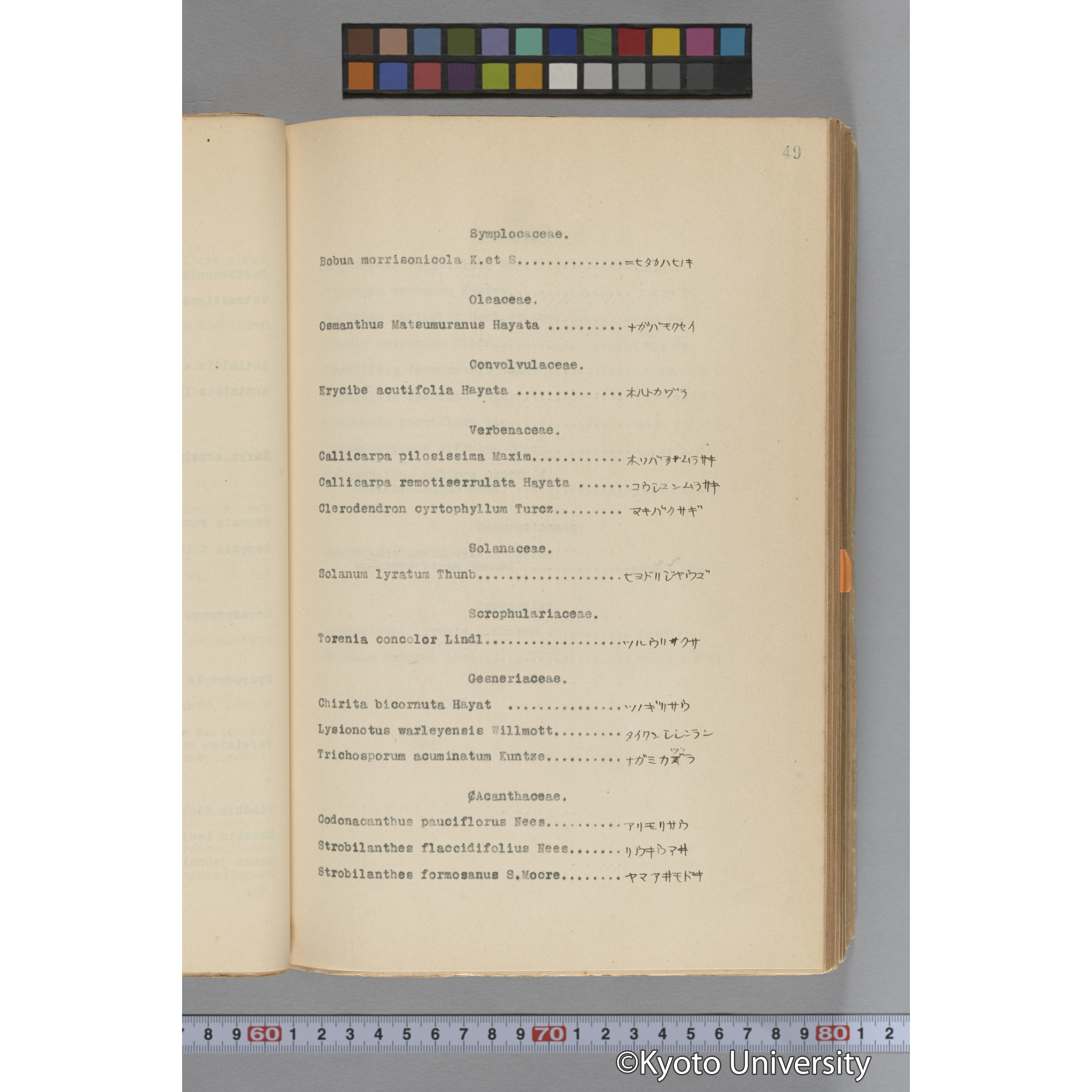 台湾演習林植物調査報告. 第一予報. 1931 植物調査班 (73)