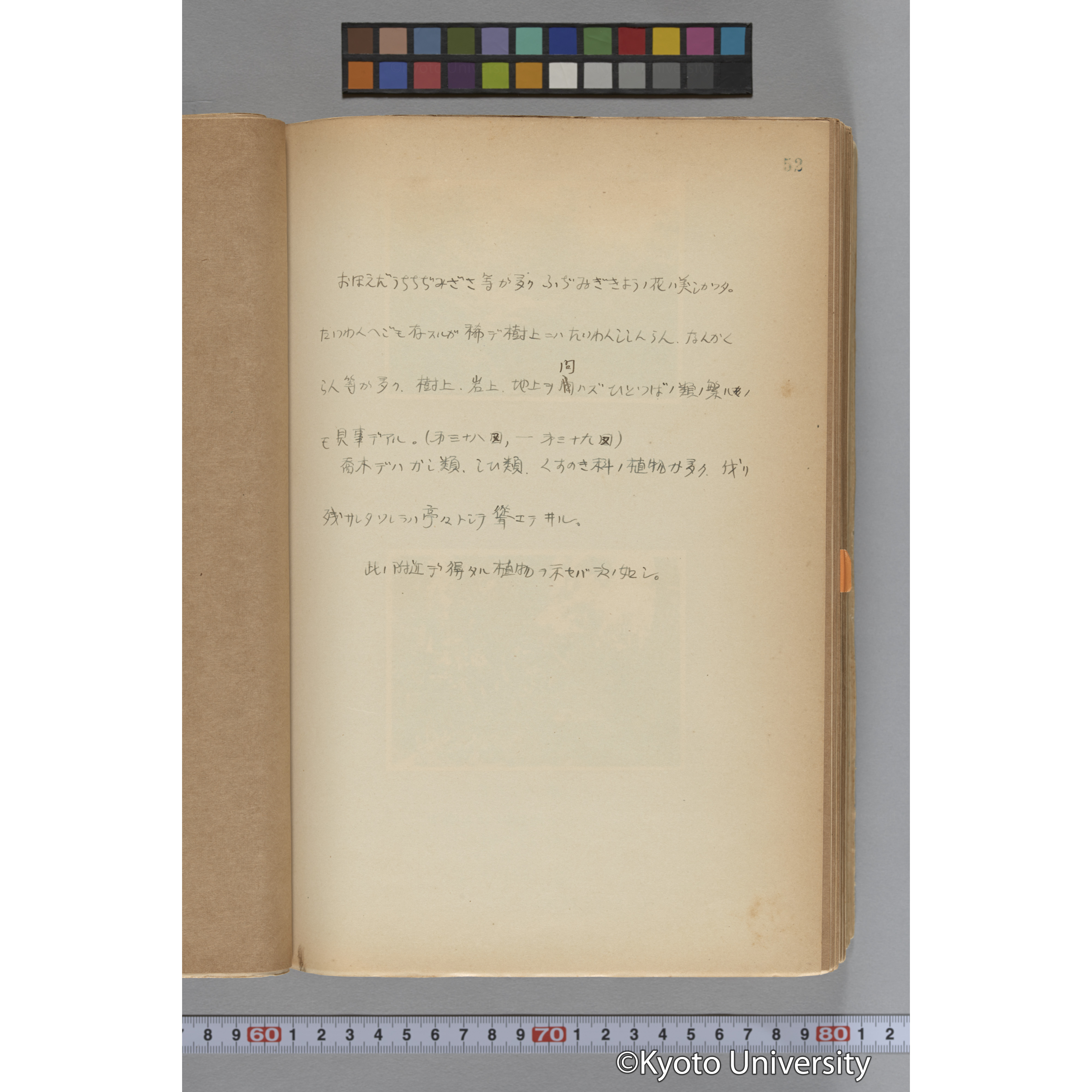 台湾演習林植物調査報告. 第一予報. 1931 植物調査班 (77)