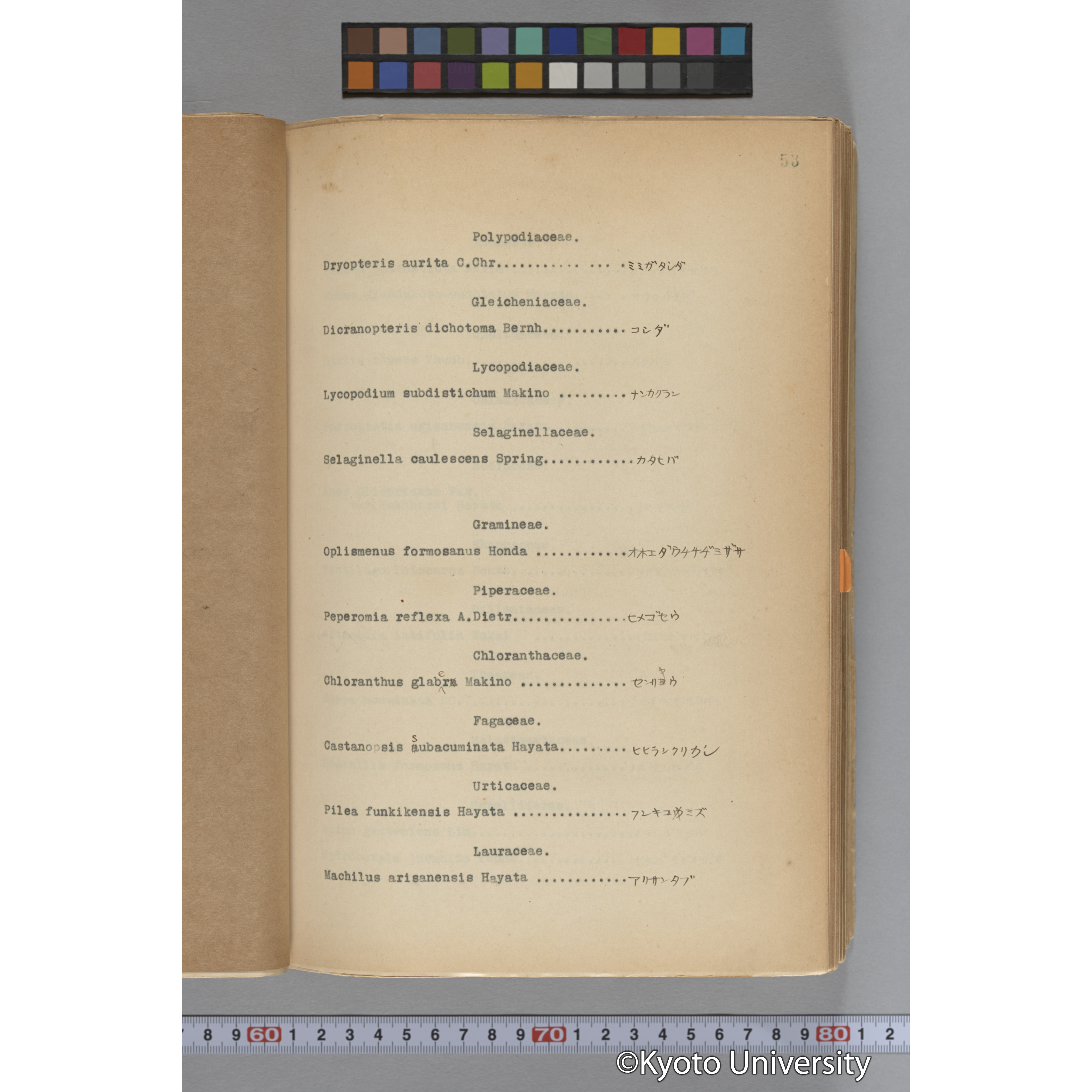 台湾演習林植物調査報告. 第一予報. 1931 植物調査班 (79)