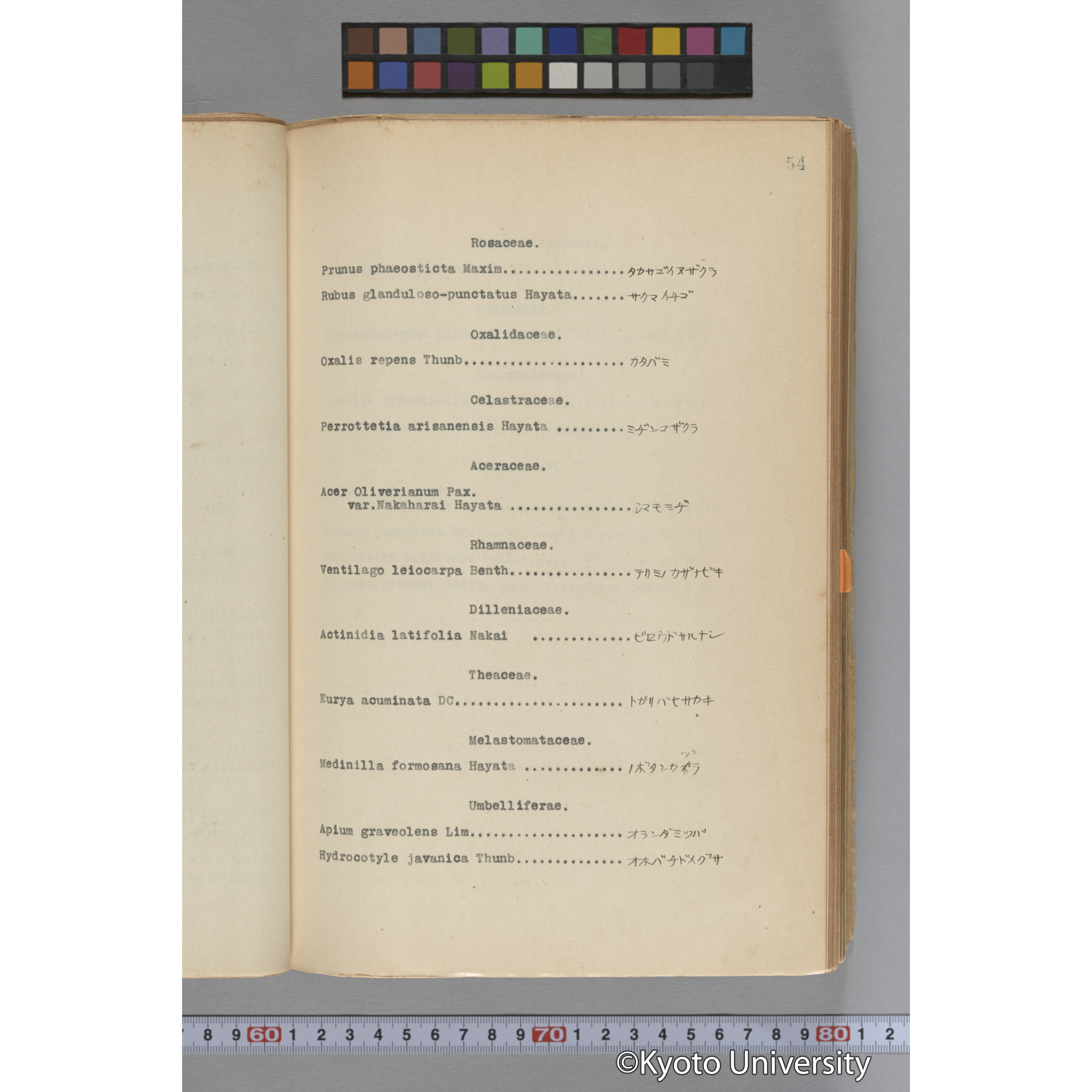 台湾演習林植物調査報告. 第一予報. 1931 植物調査班 (80)