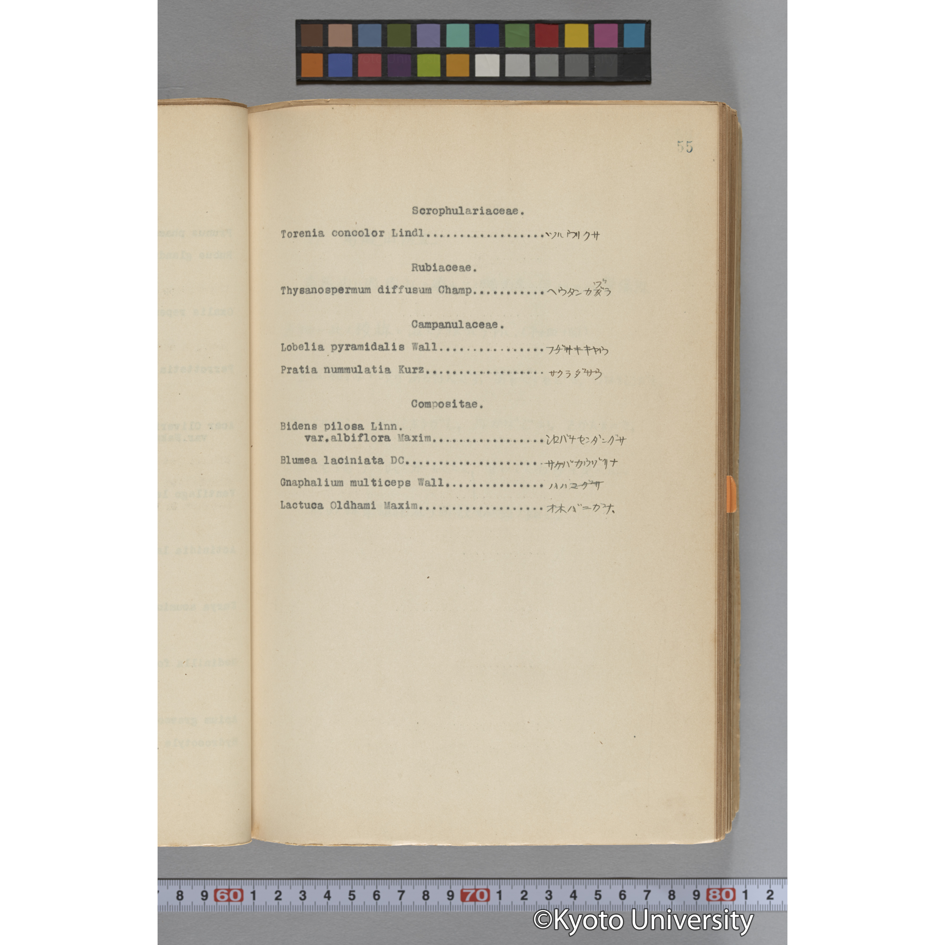 台湾演習林植物調査報告. 第一予報. 1931 植物調査班 (81)