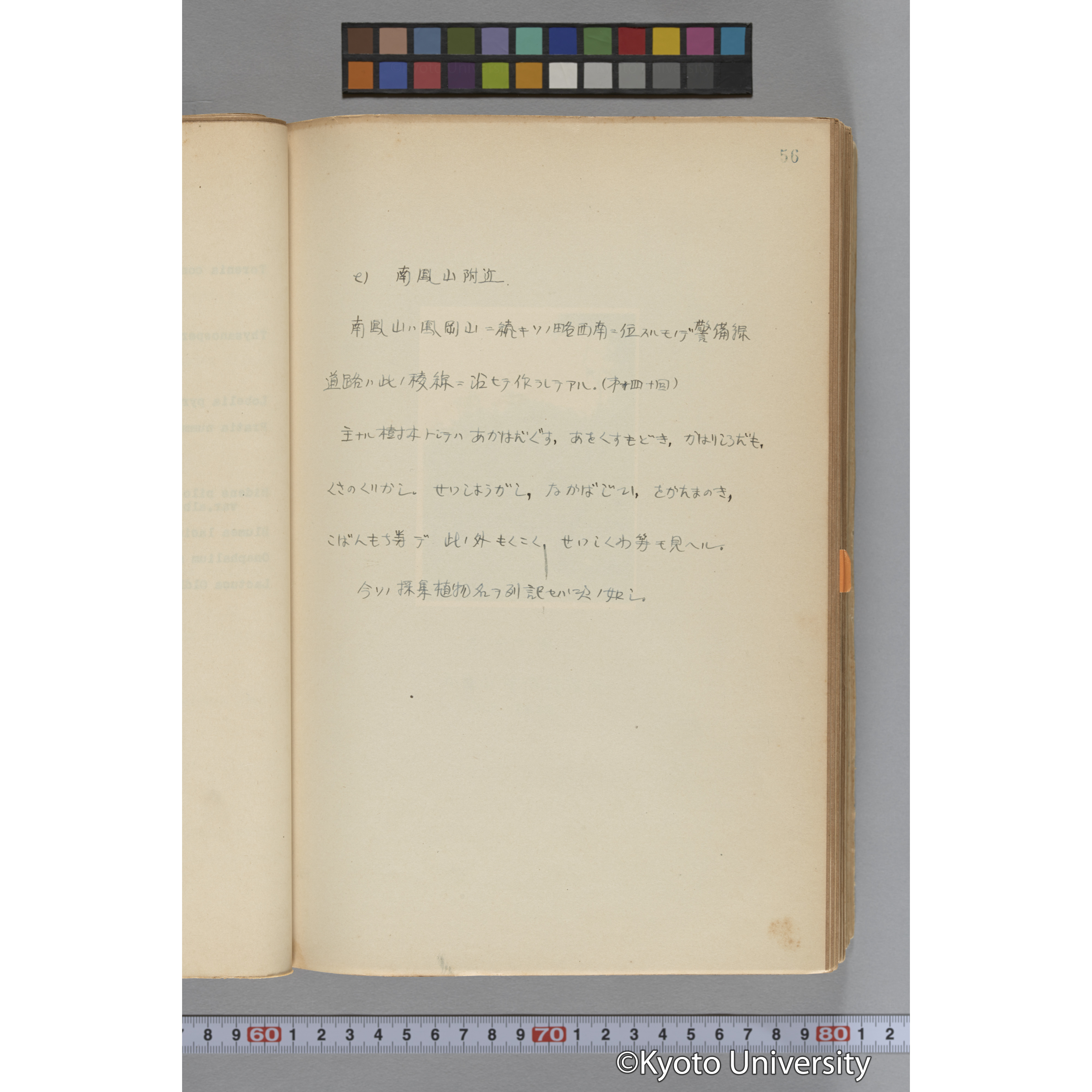 台湾演習林植物調査報告. 第一予報. 1931 植物調査班 (82)