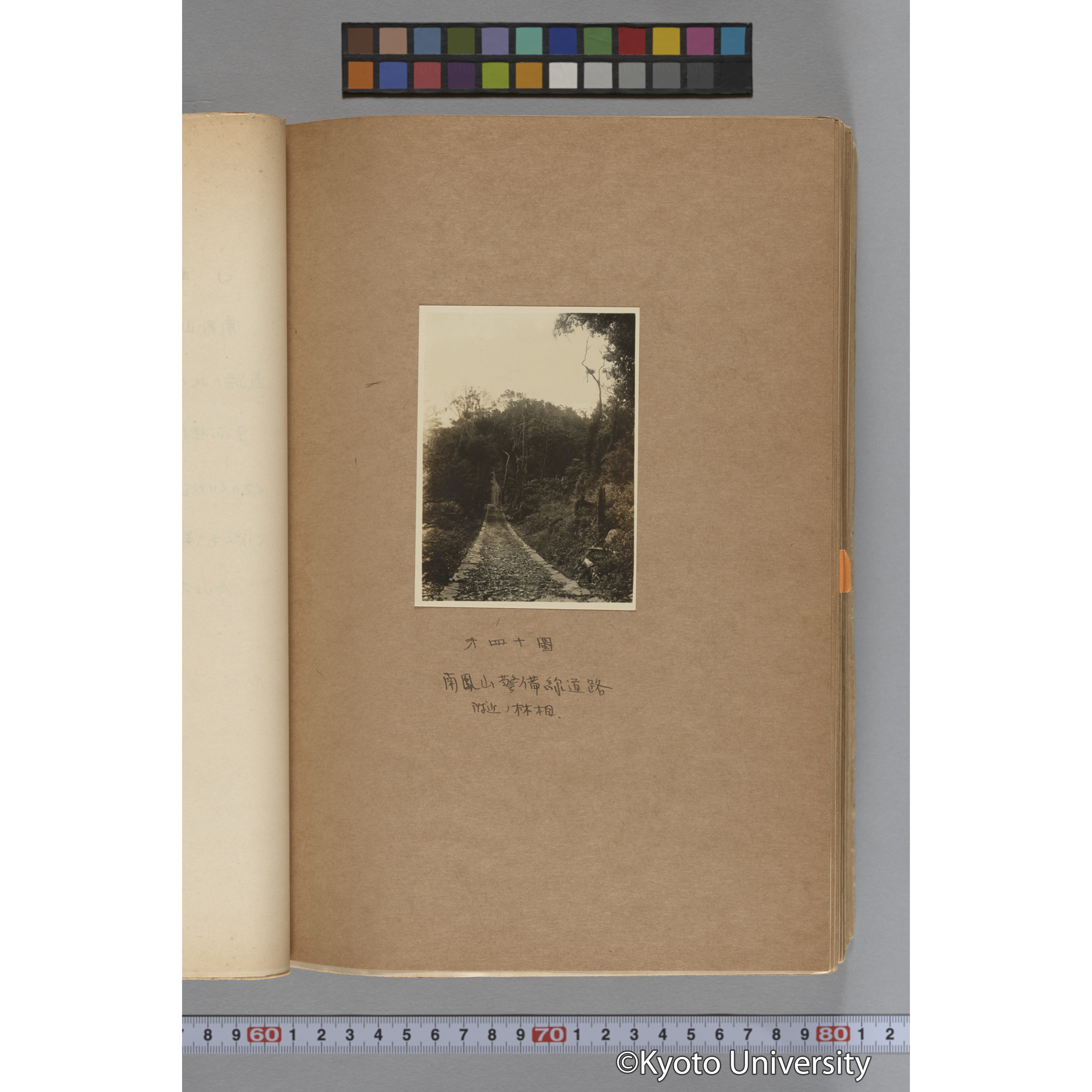 台湾演習林植物調査報告. 第一予報. 1931 植物調査班 (83)