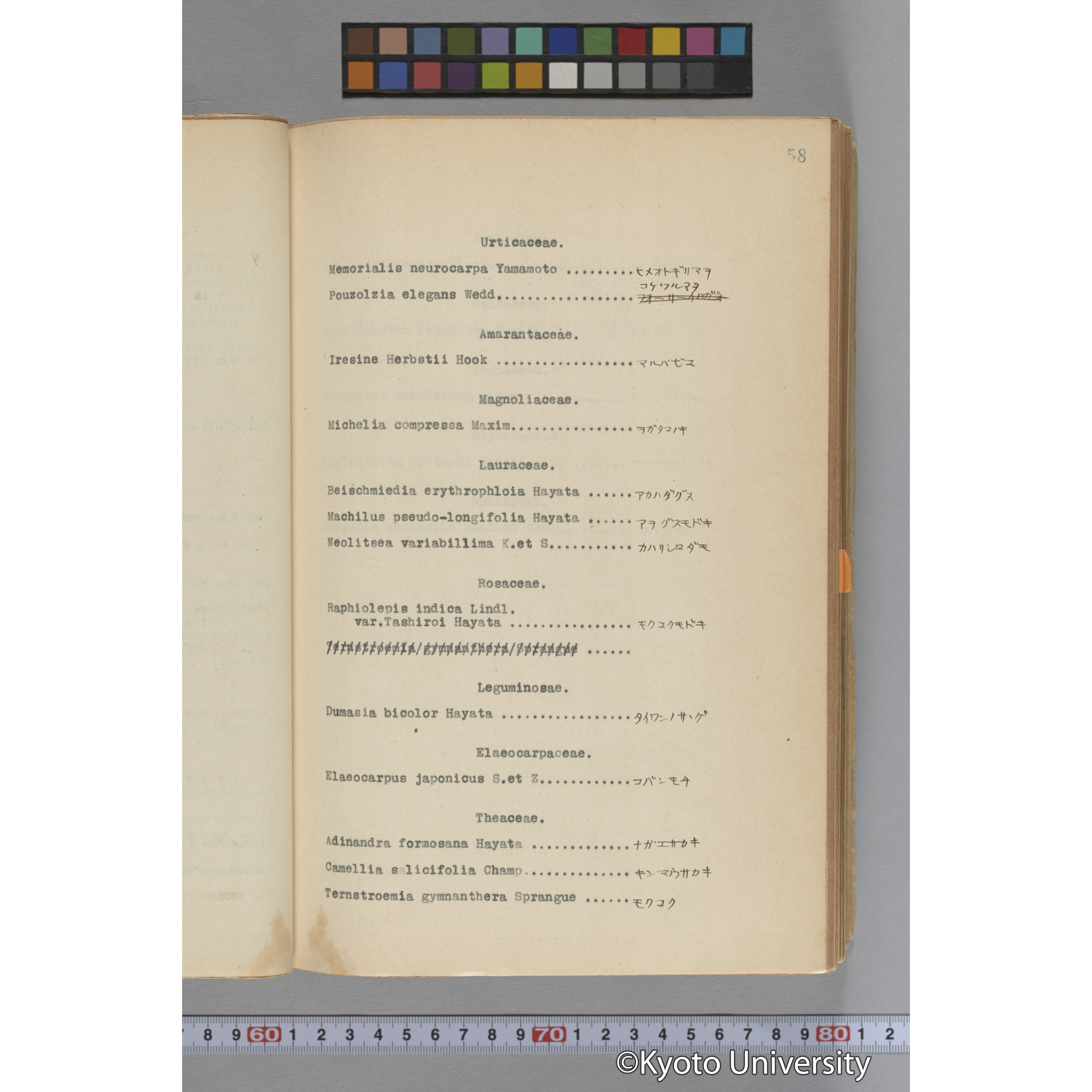 台湾演習林植物調査報告. 第一予報. 1931 植物調査班 (85)