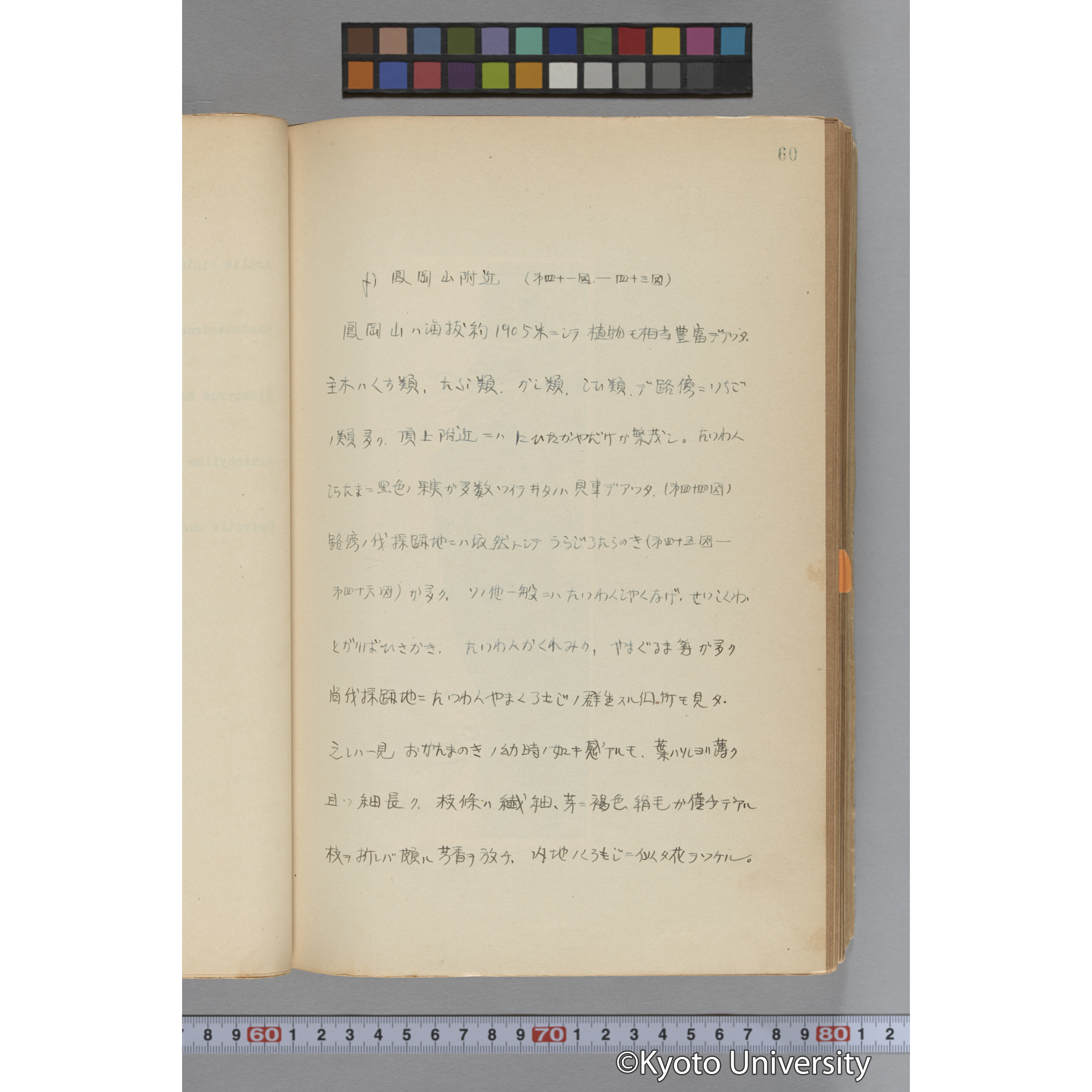 台湾演習林植物調査報告. 第一予報. 1931 植物調査班 (87)