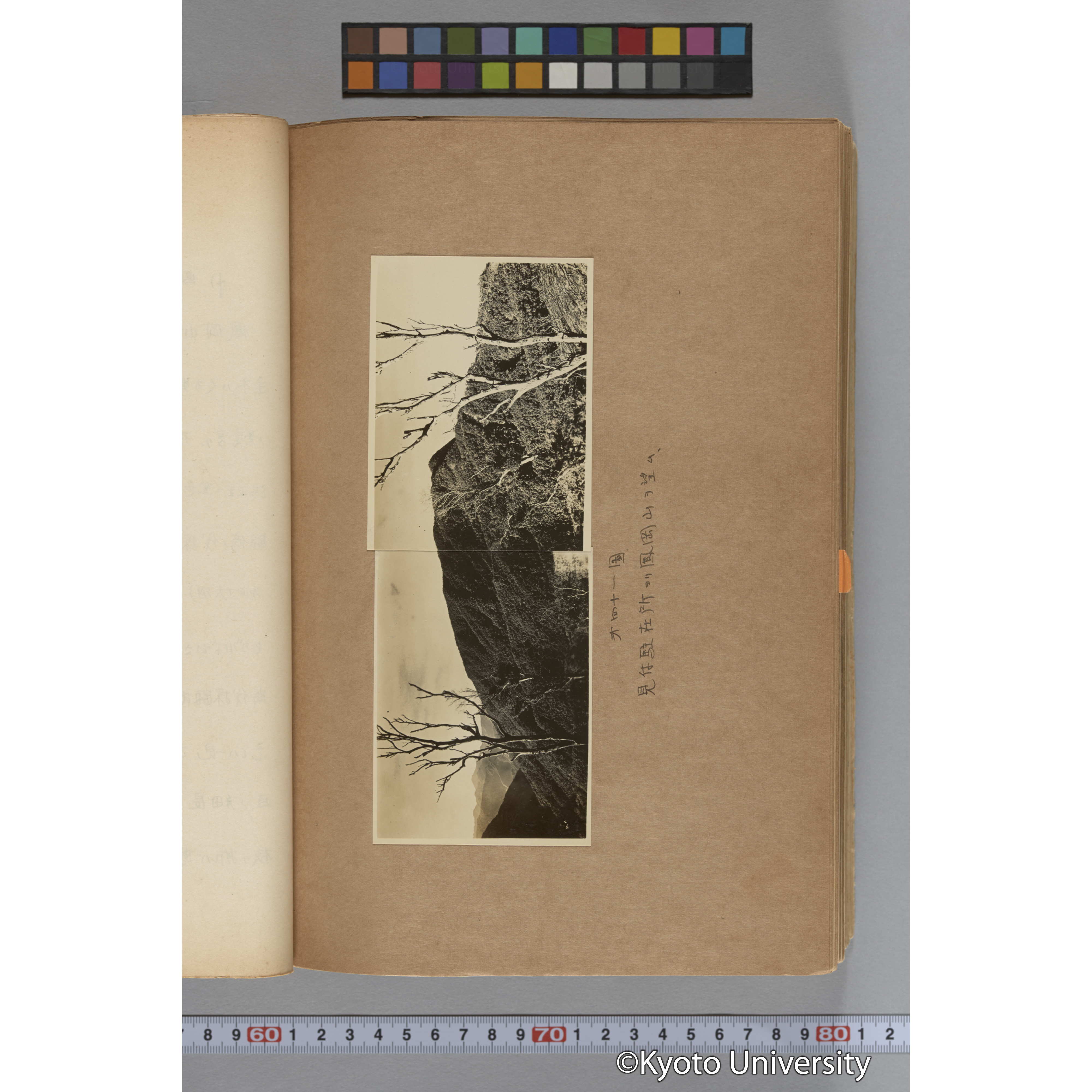 台湾演習林植物調査報告. 第一予報. 1931 植物調査班 (88)