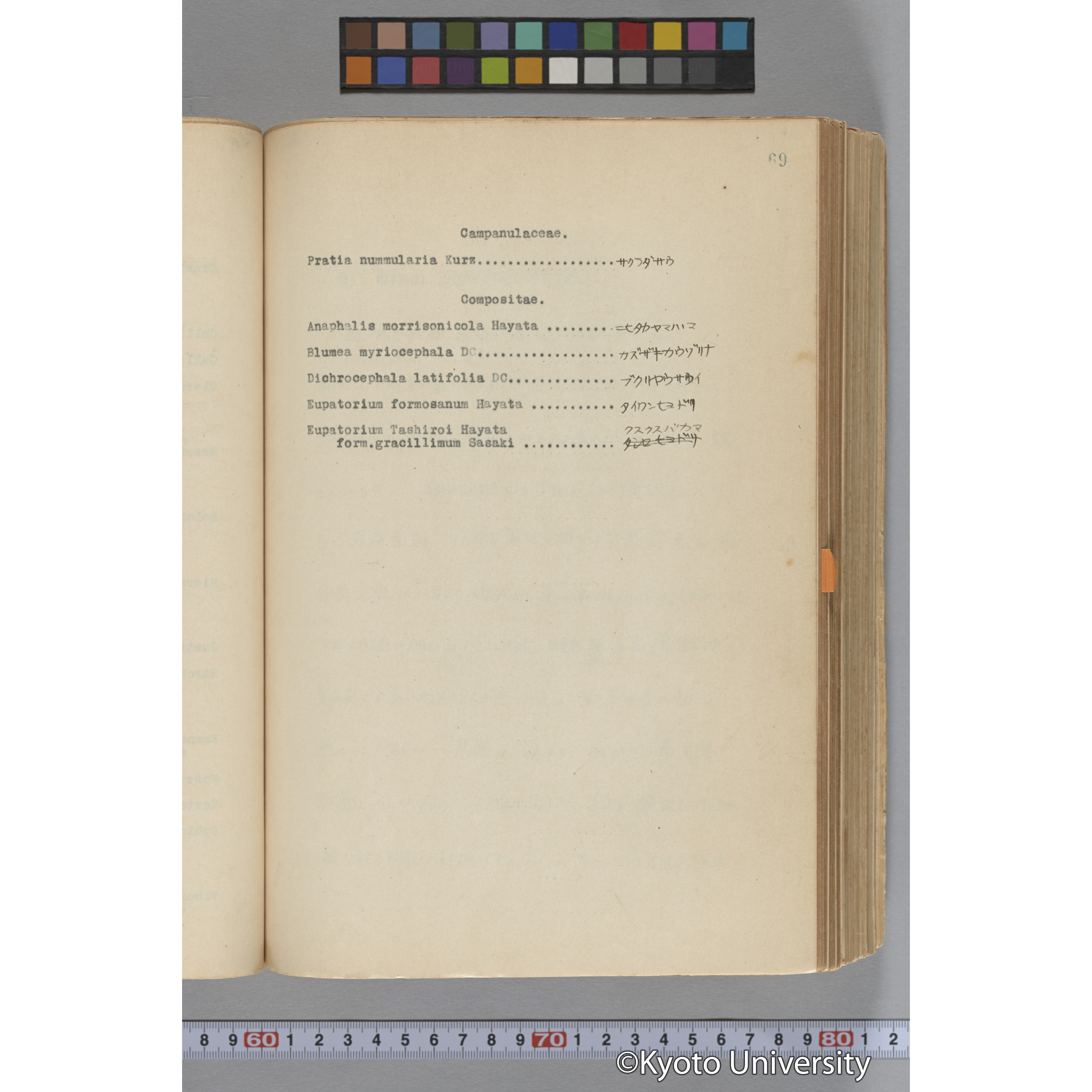 台湾演習林植物調査報告. 第一予報. 1931 植物調査班 (89)